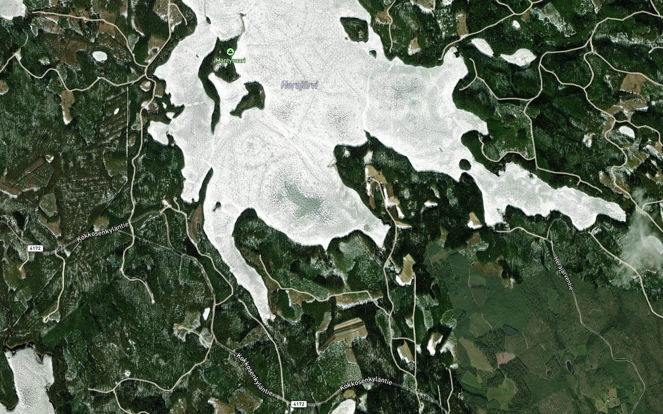 Polvihonganlahti