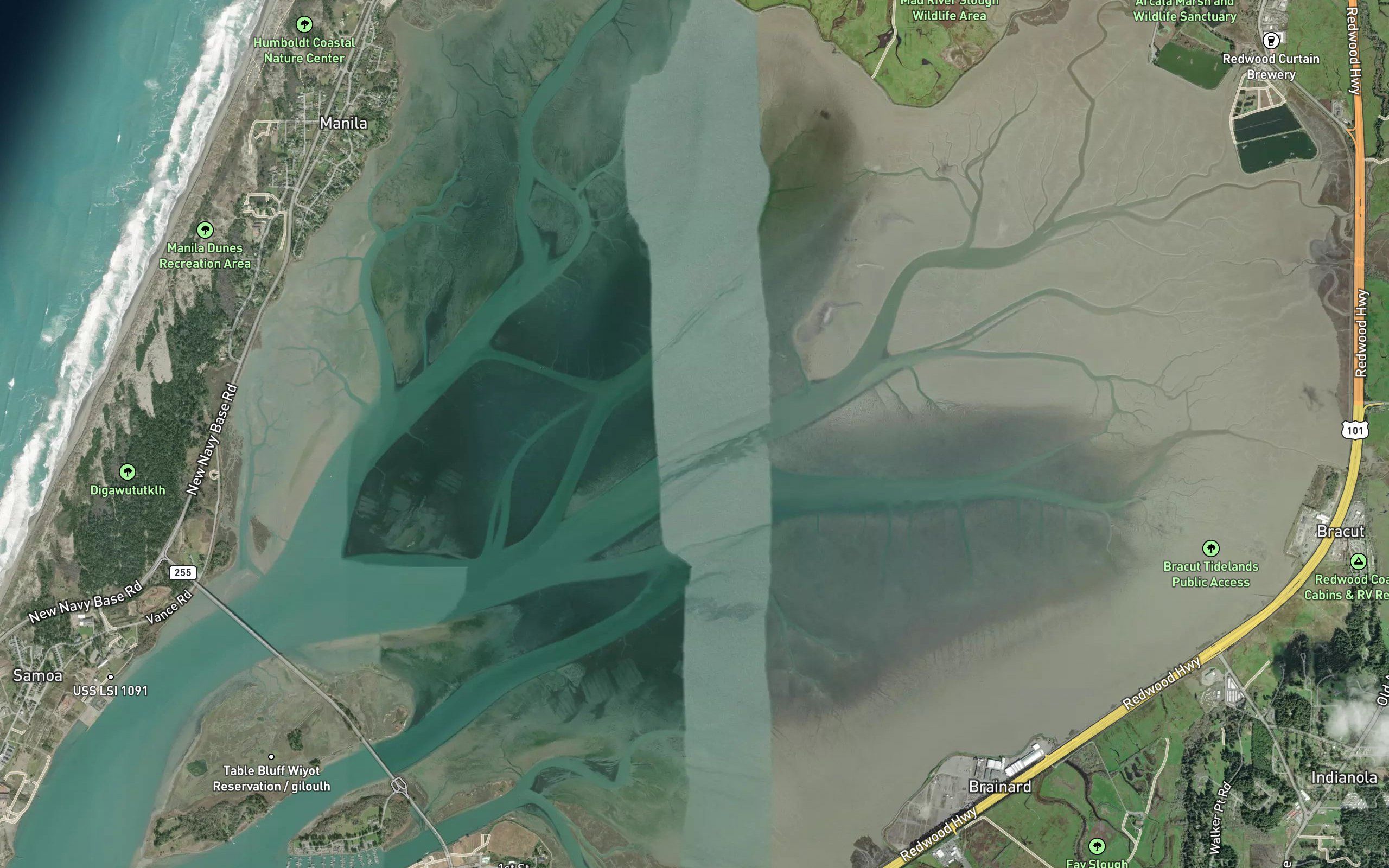Arcata Bay