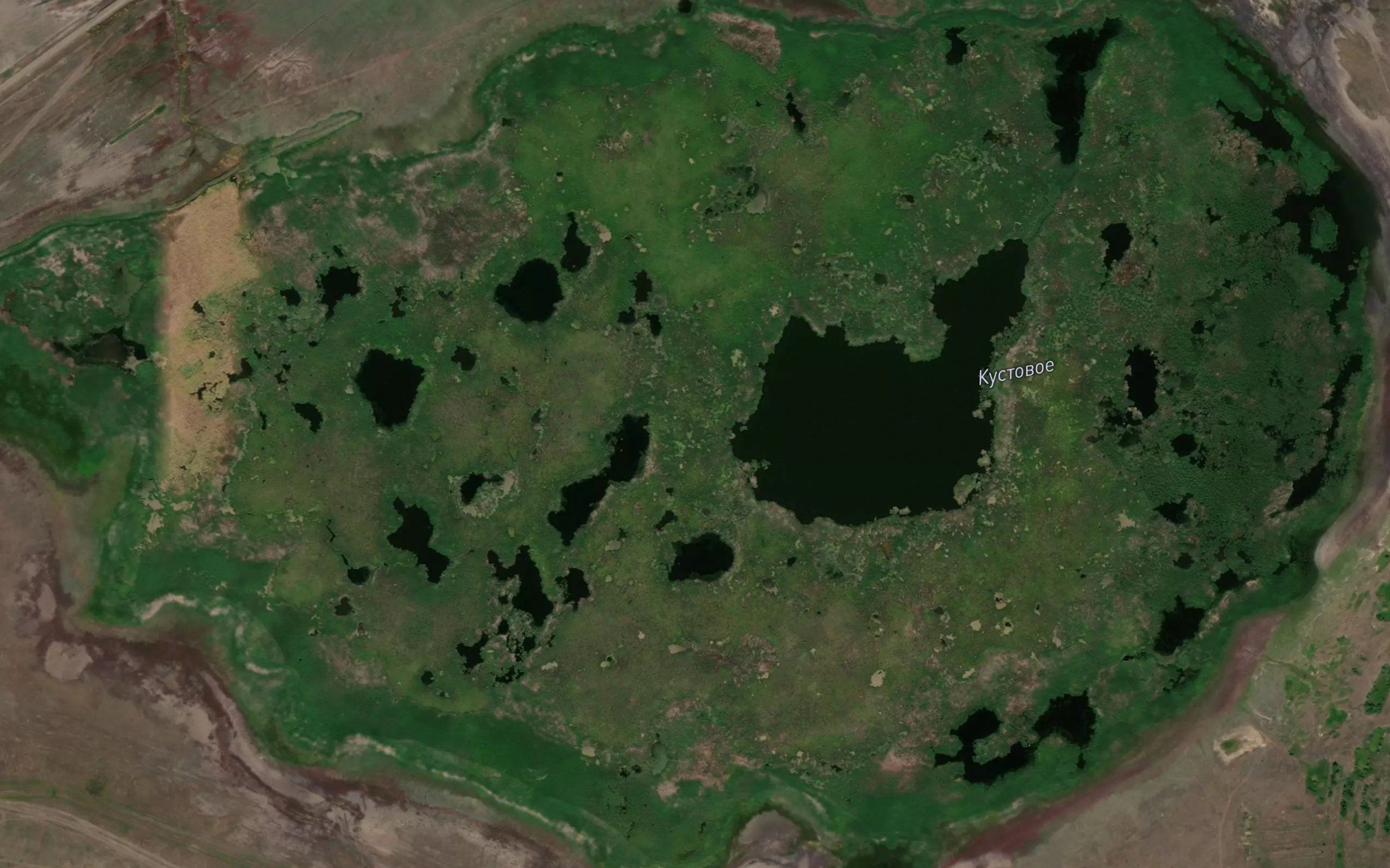 Ozero Kustovoye