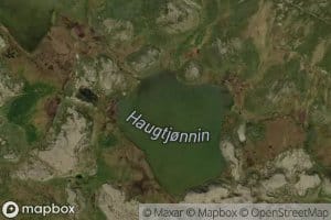 Haugtjornin