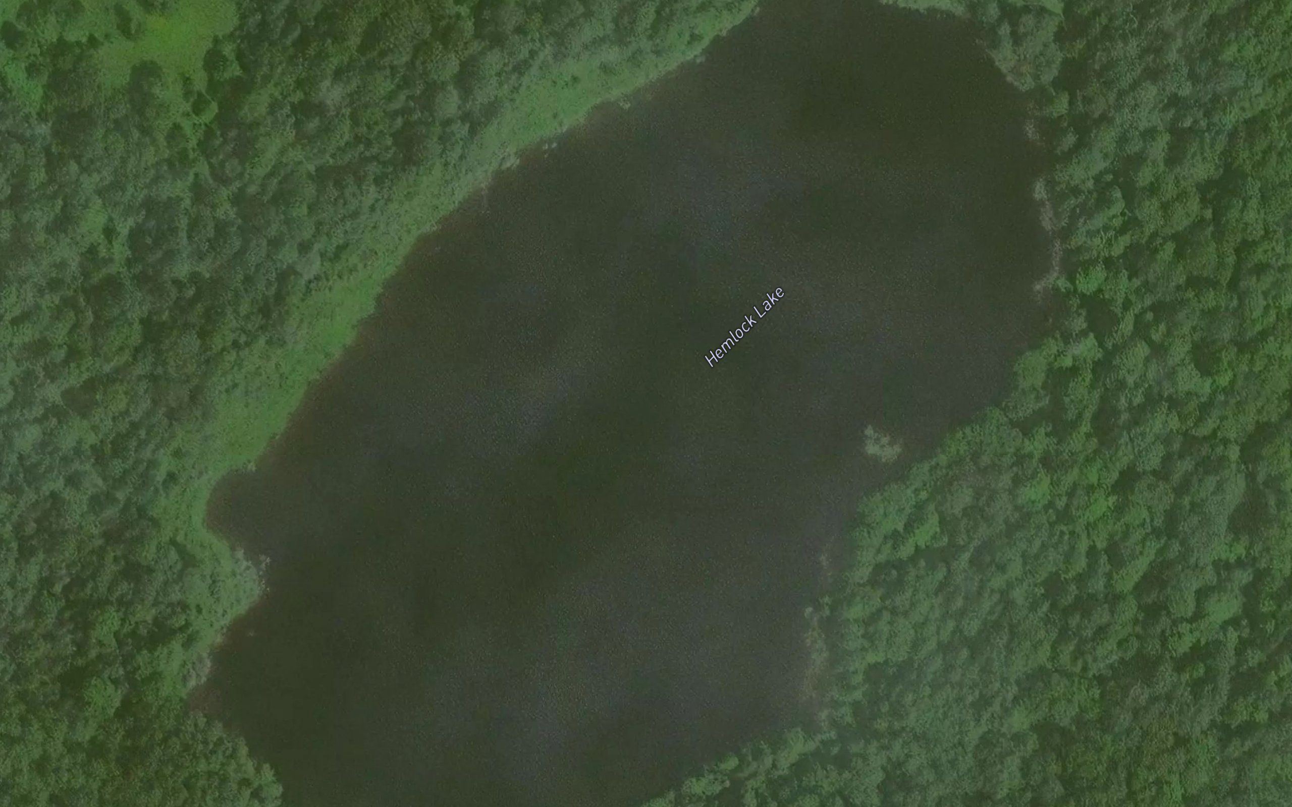 Hemlock Lake