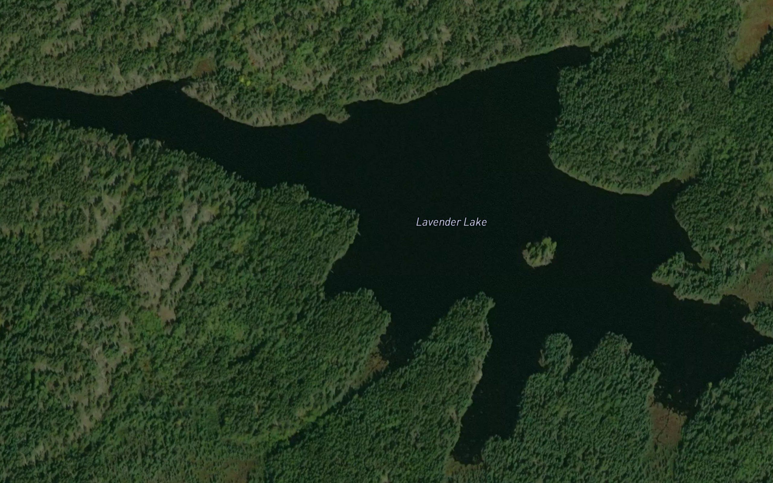 Lavender Lake