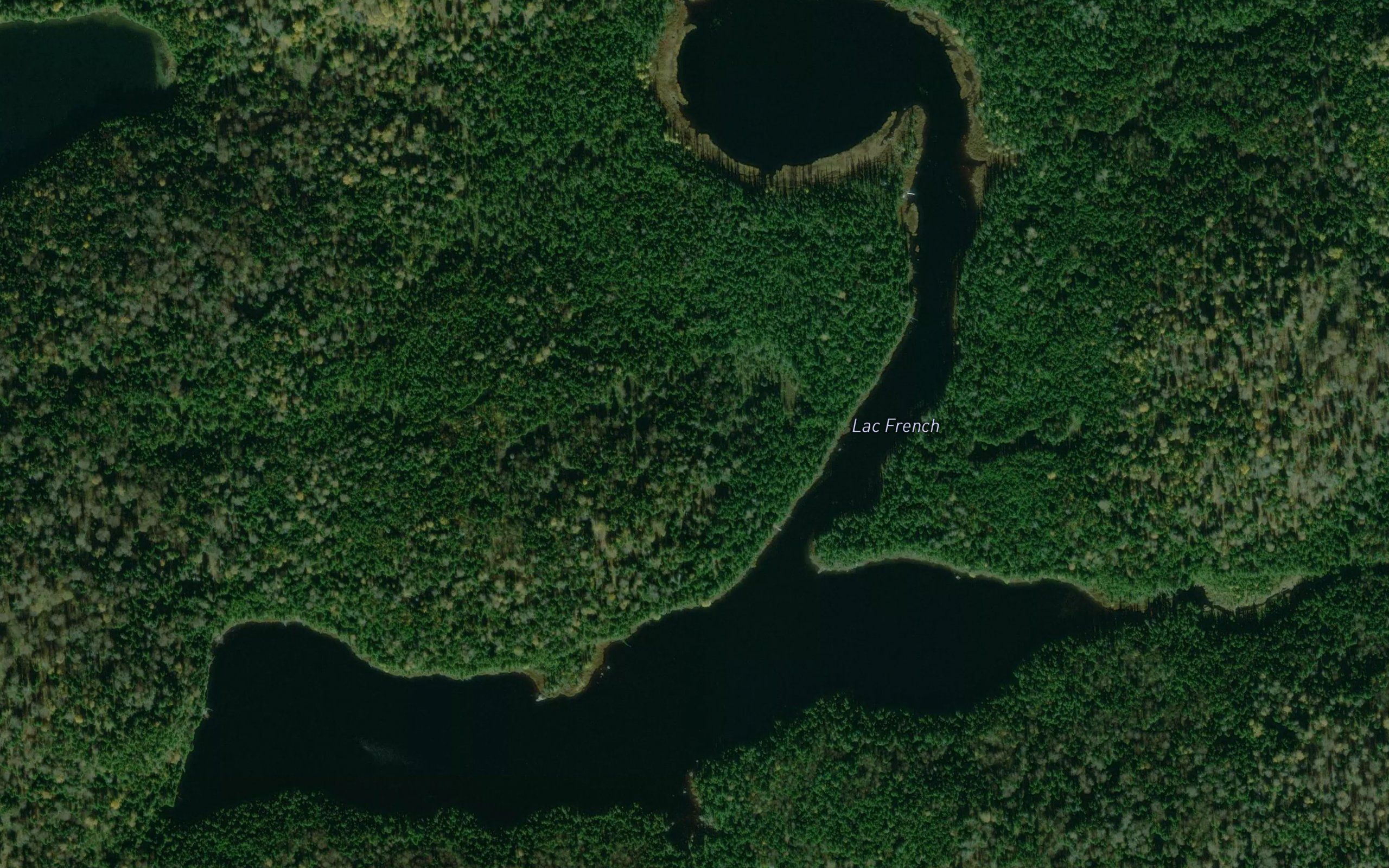 Lac French