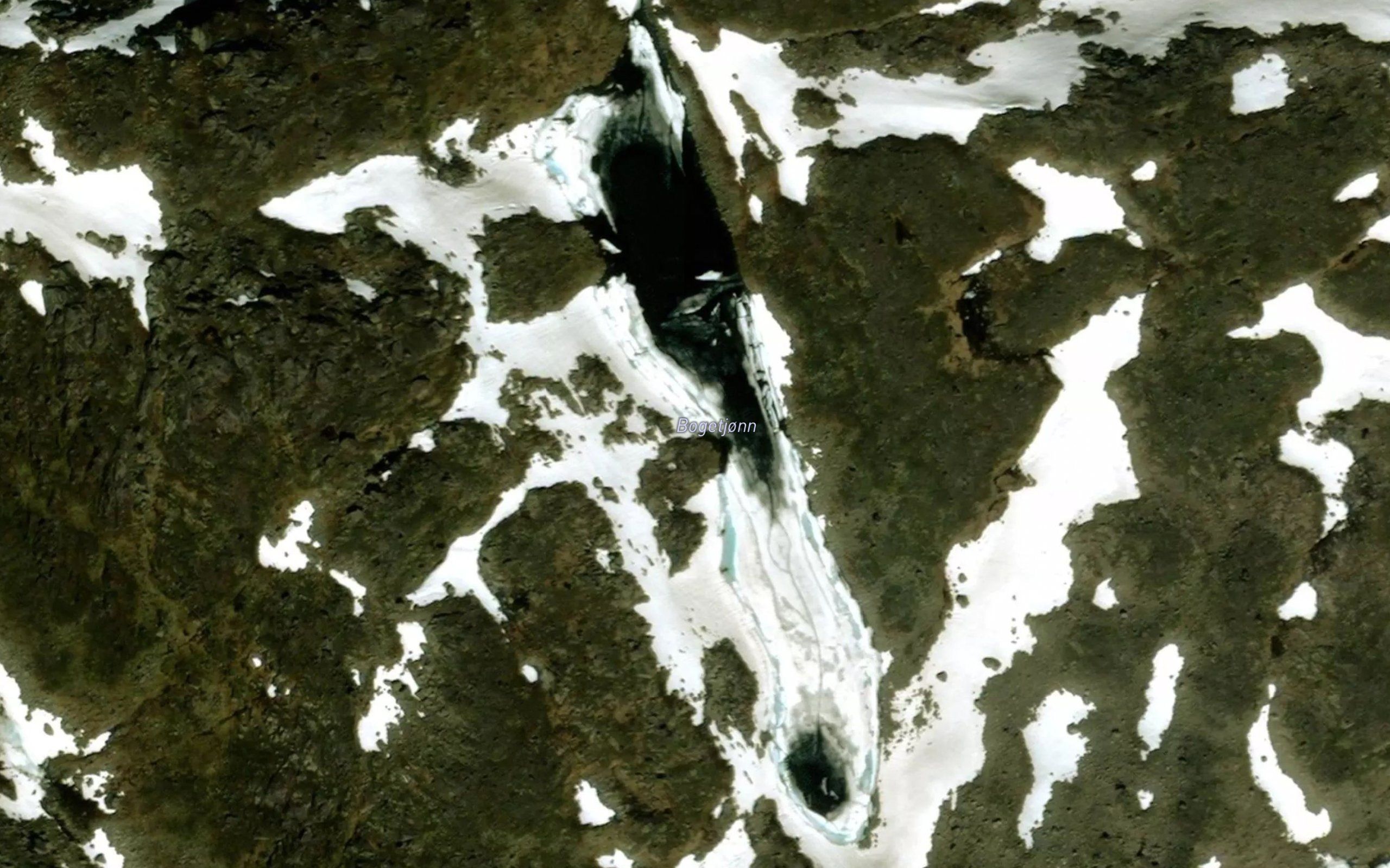 Bogetjorn