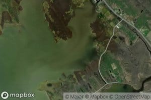 Insley Cove