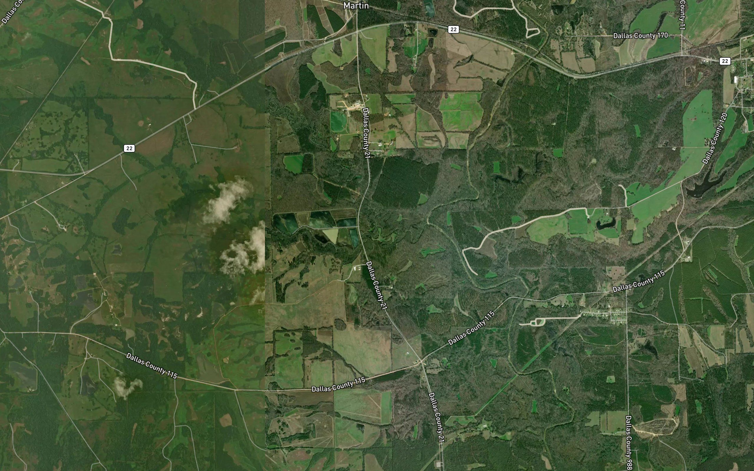 Caine Creek