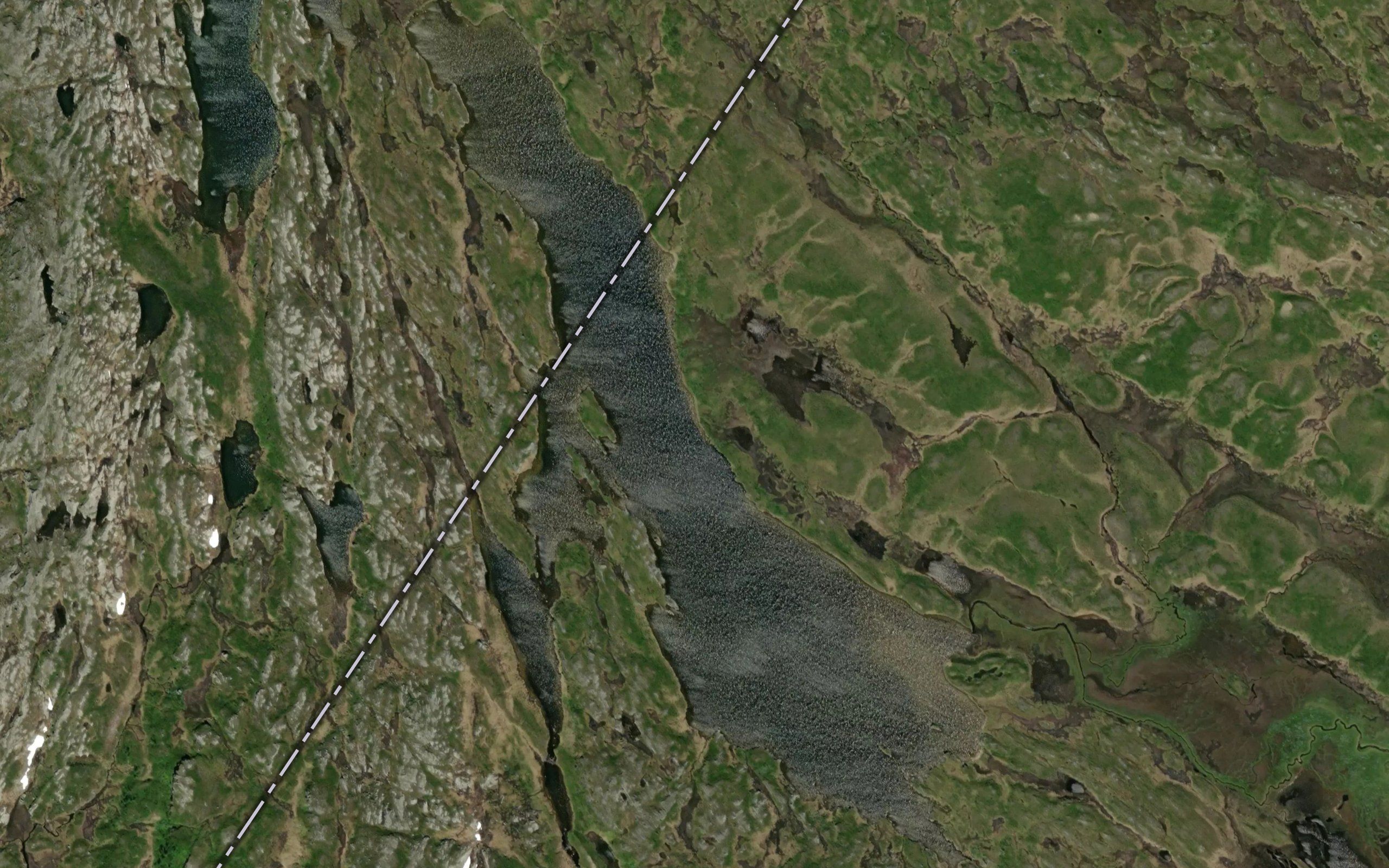 Skreddarsjoane