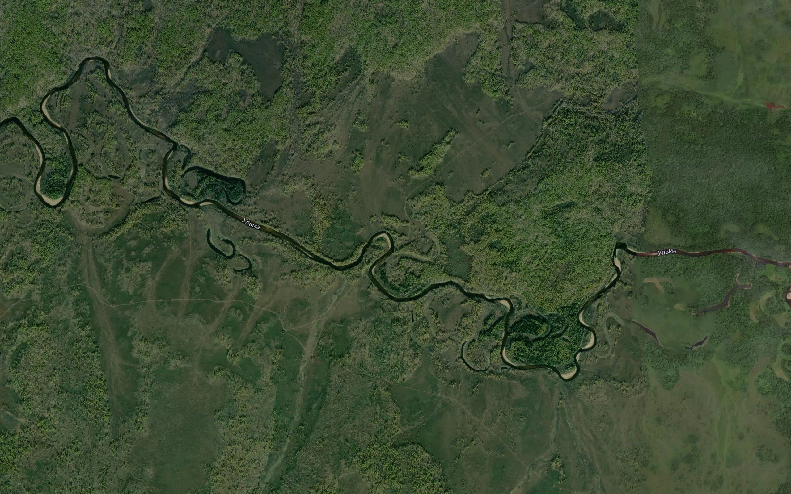 Nyarug