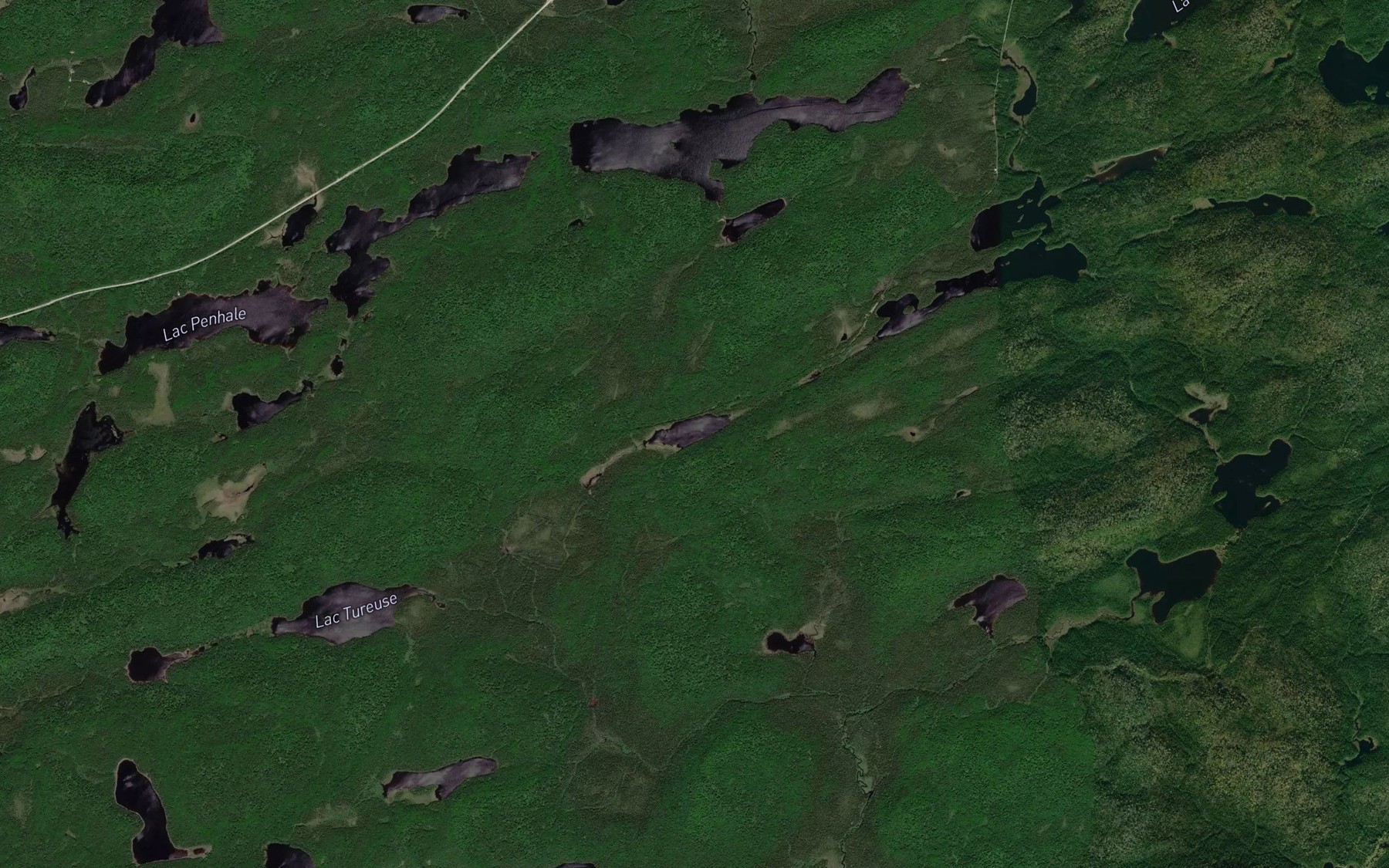 Satellite map of the Lac Baleine