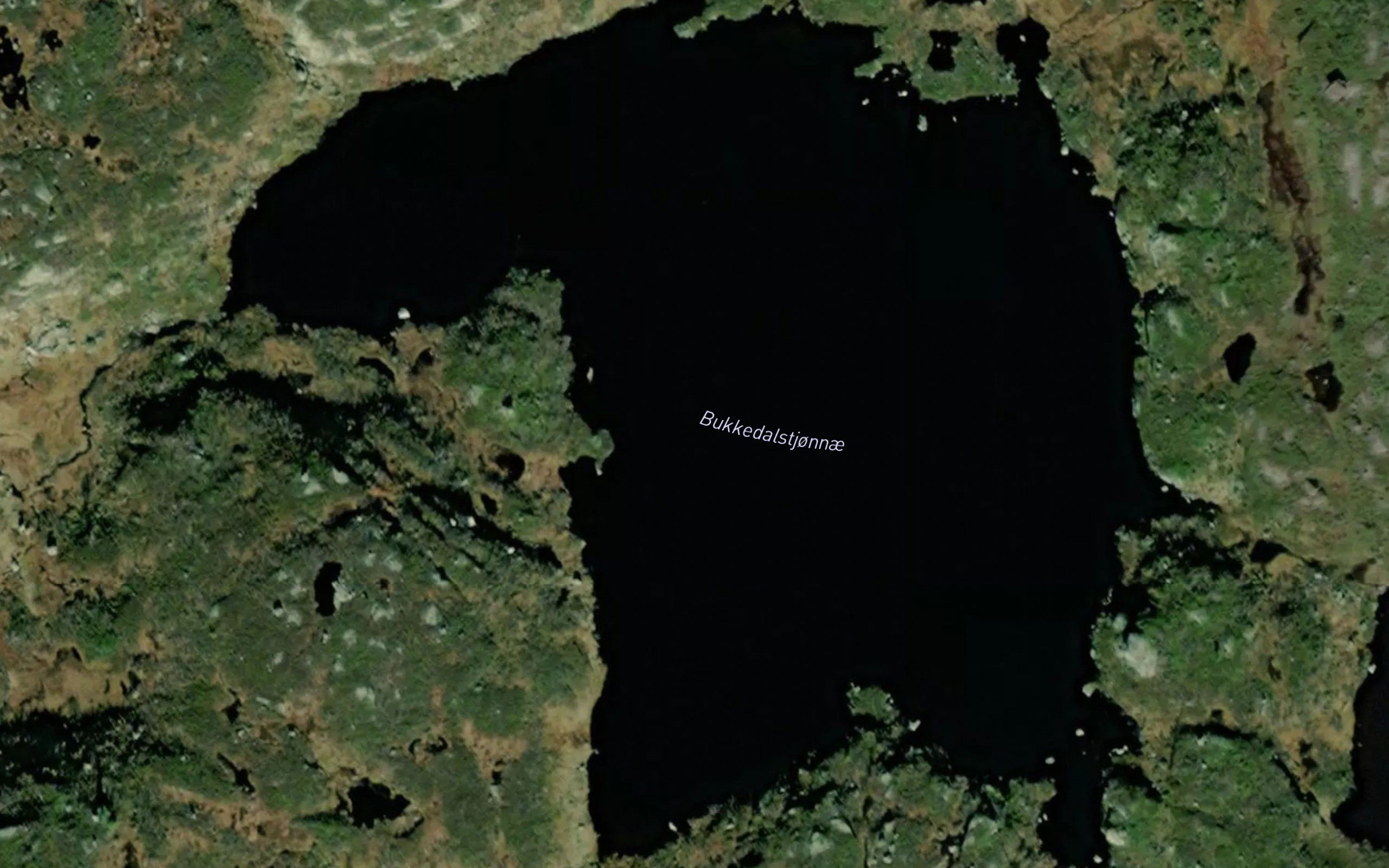 Bukkedalstjorni