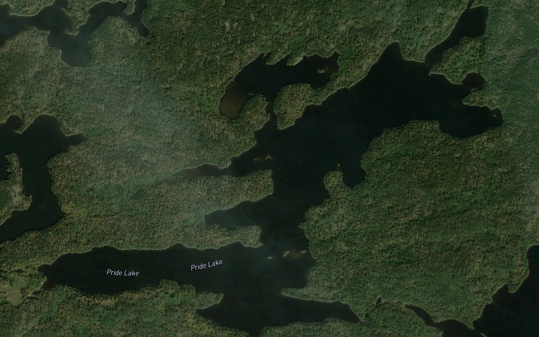 Satellite map of the Pride Lake