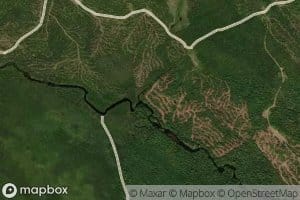 Harrison Brook