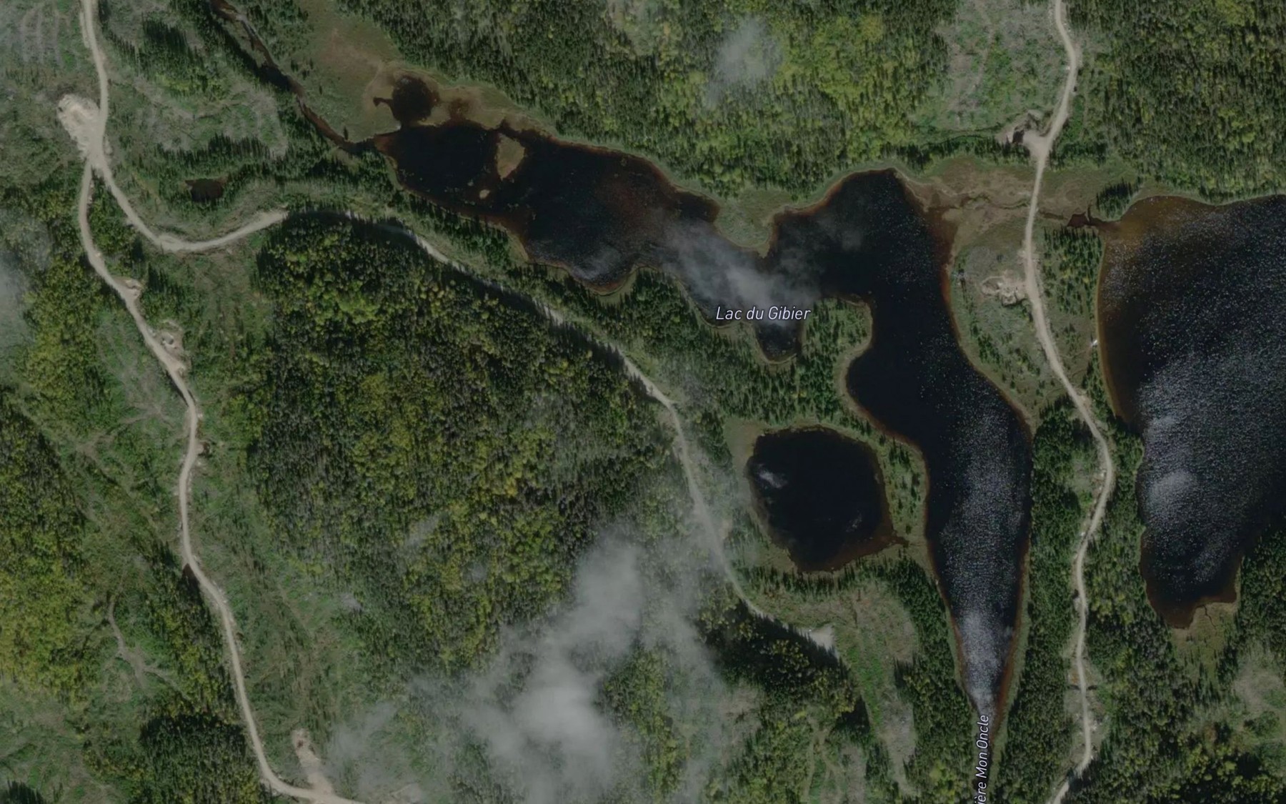 Satellite map of the Lac du Gibier