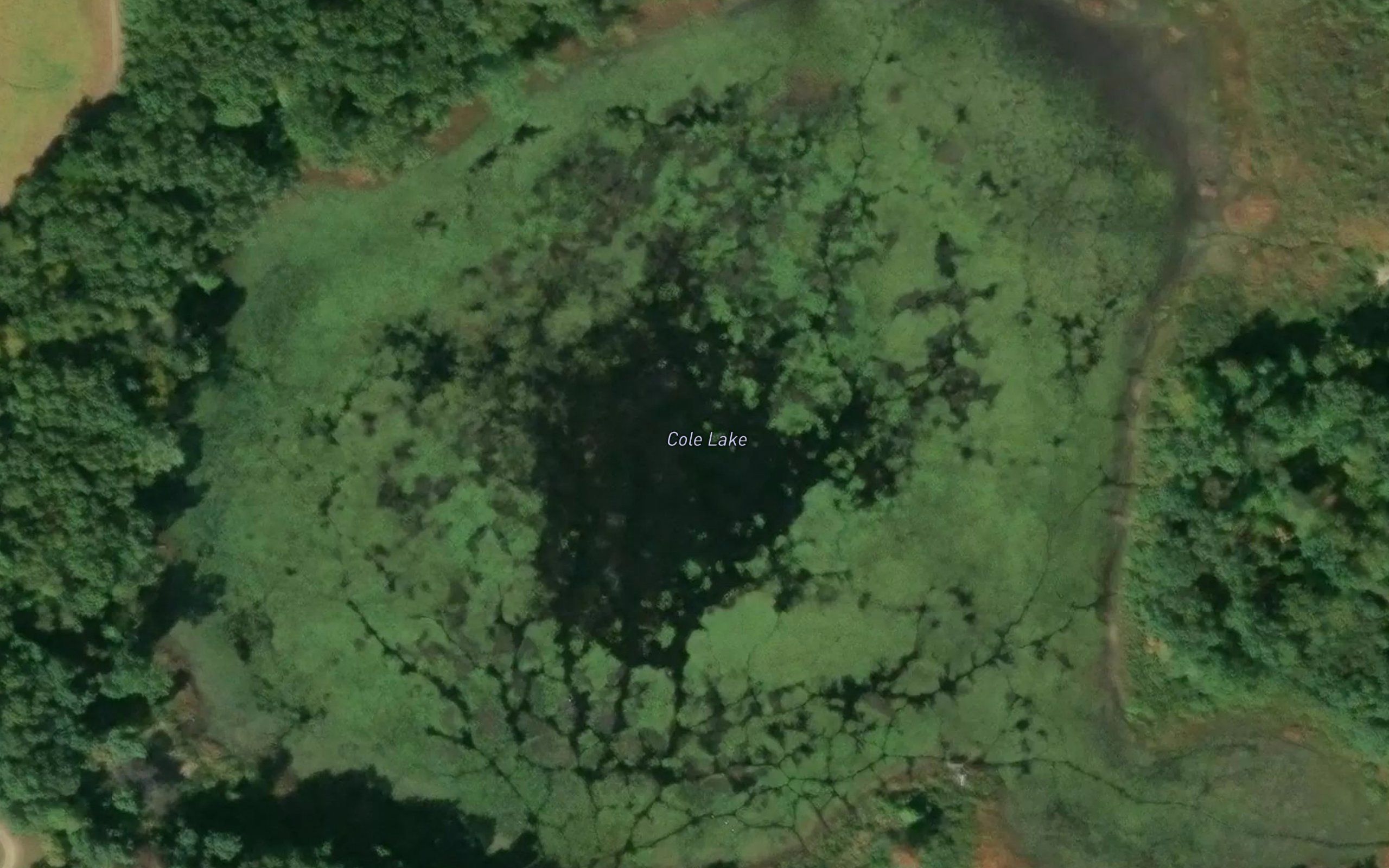 Cole Lake