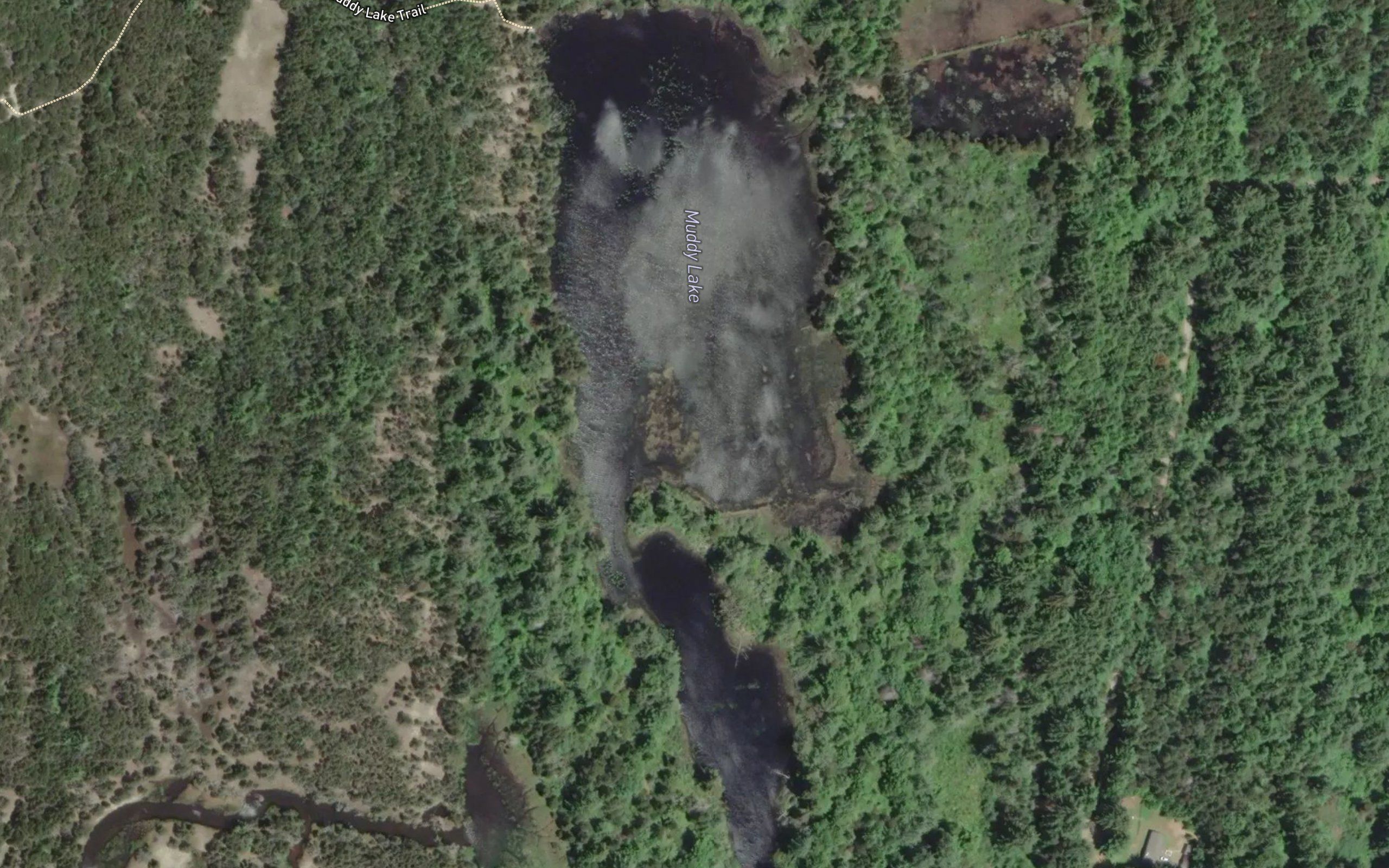 Muddy Lake