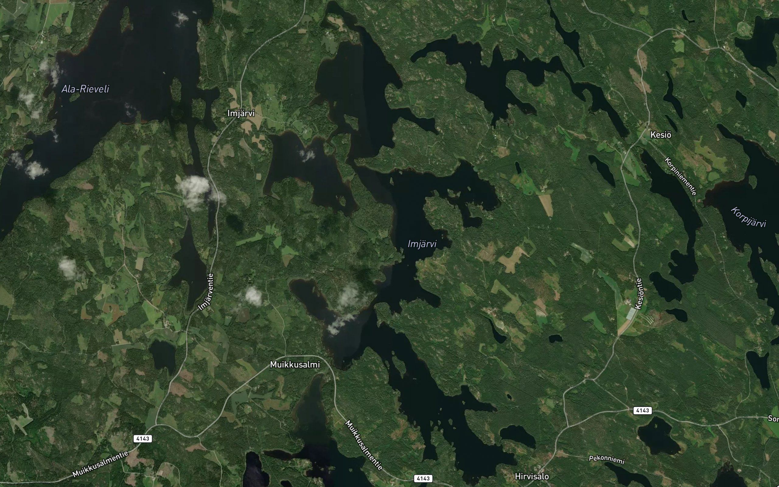 Haapaselka