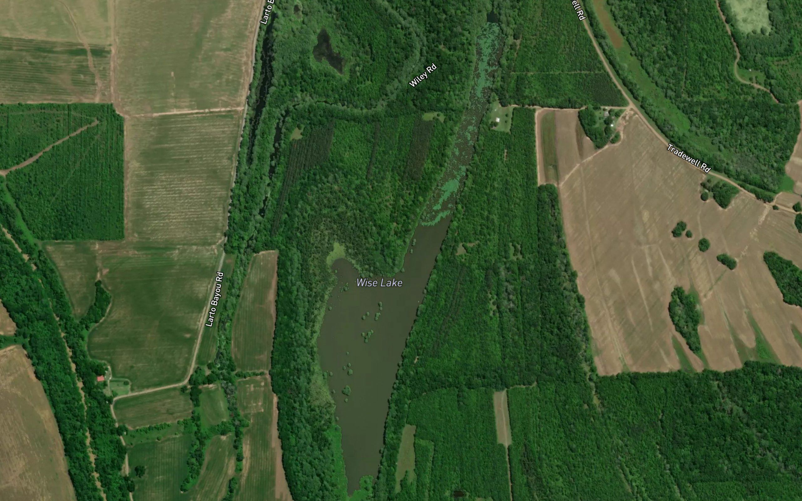 Wise Lake