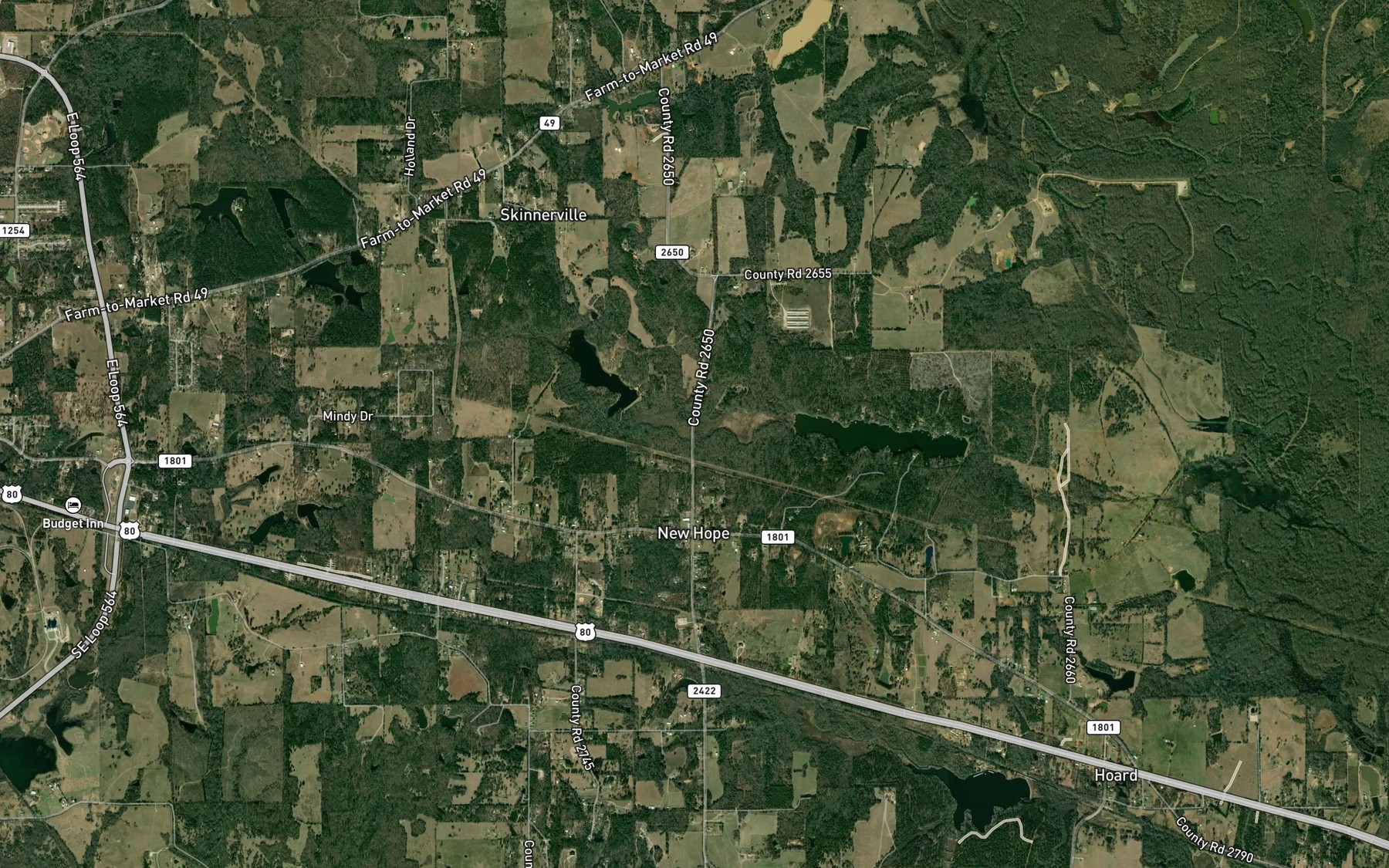 Satellite map of the Palmer Spring