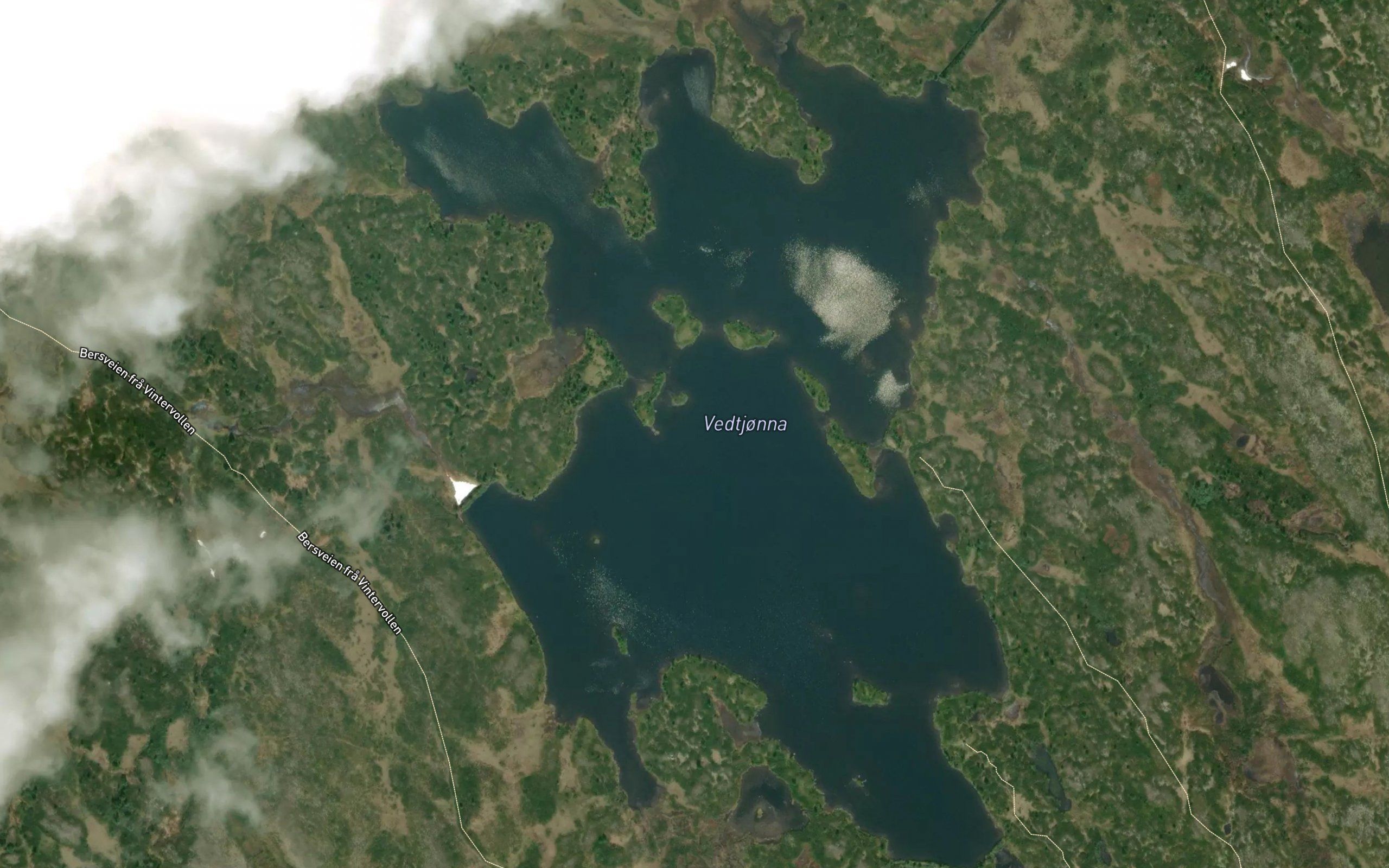 Vedtjorna