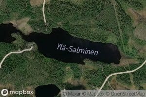 Yla-Salminen