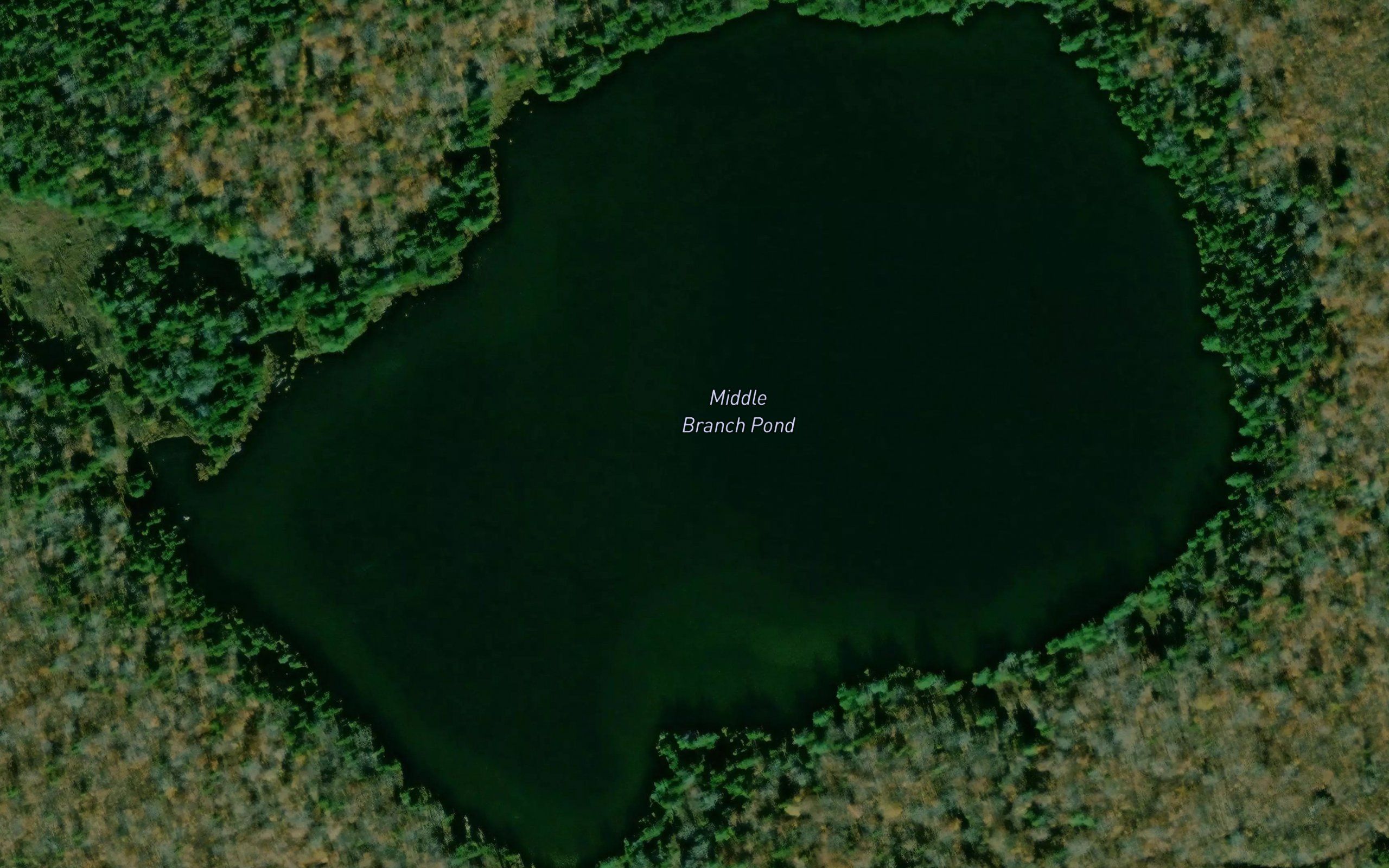 Middle Branch Pond