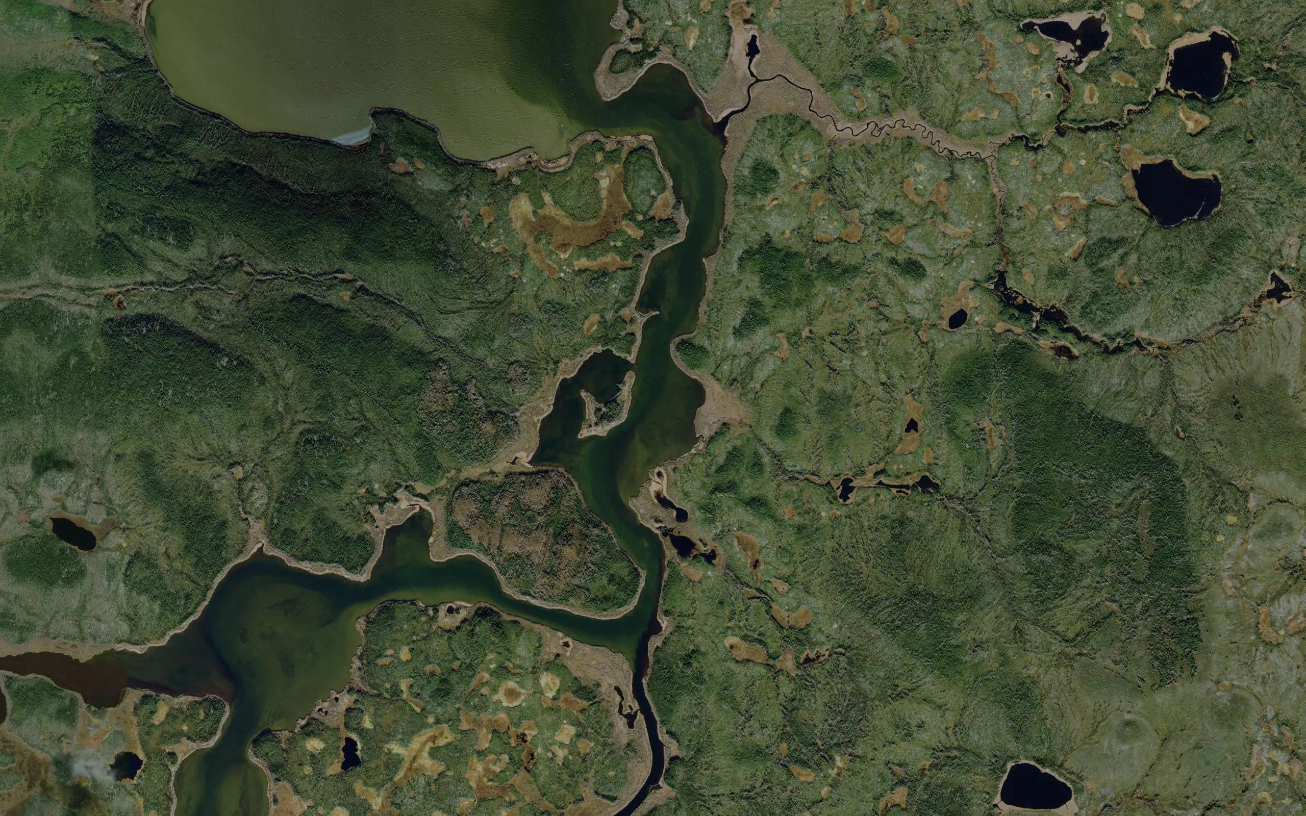 Wuskwi Bay