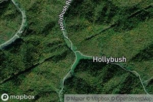 Left Fork Holly Bush Creek