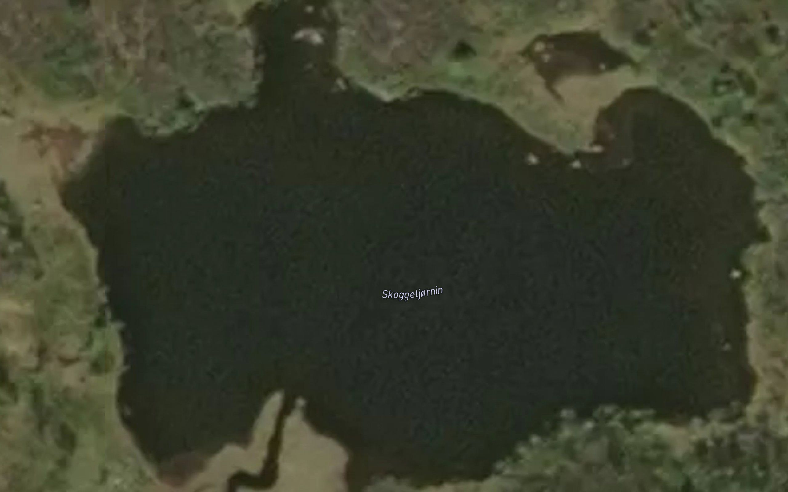 Skoggetjornin
