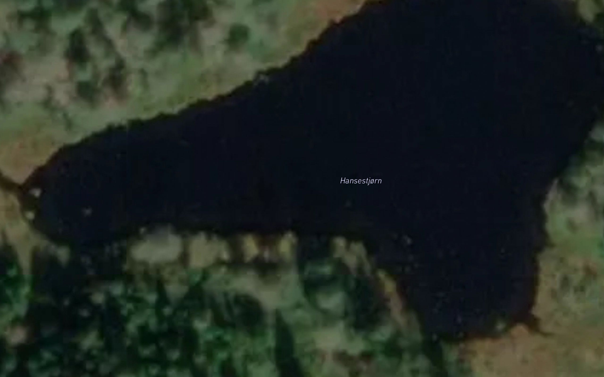 Hansestjorn