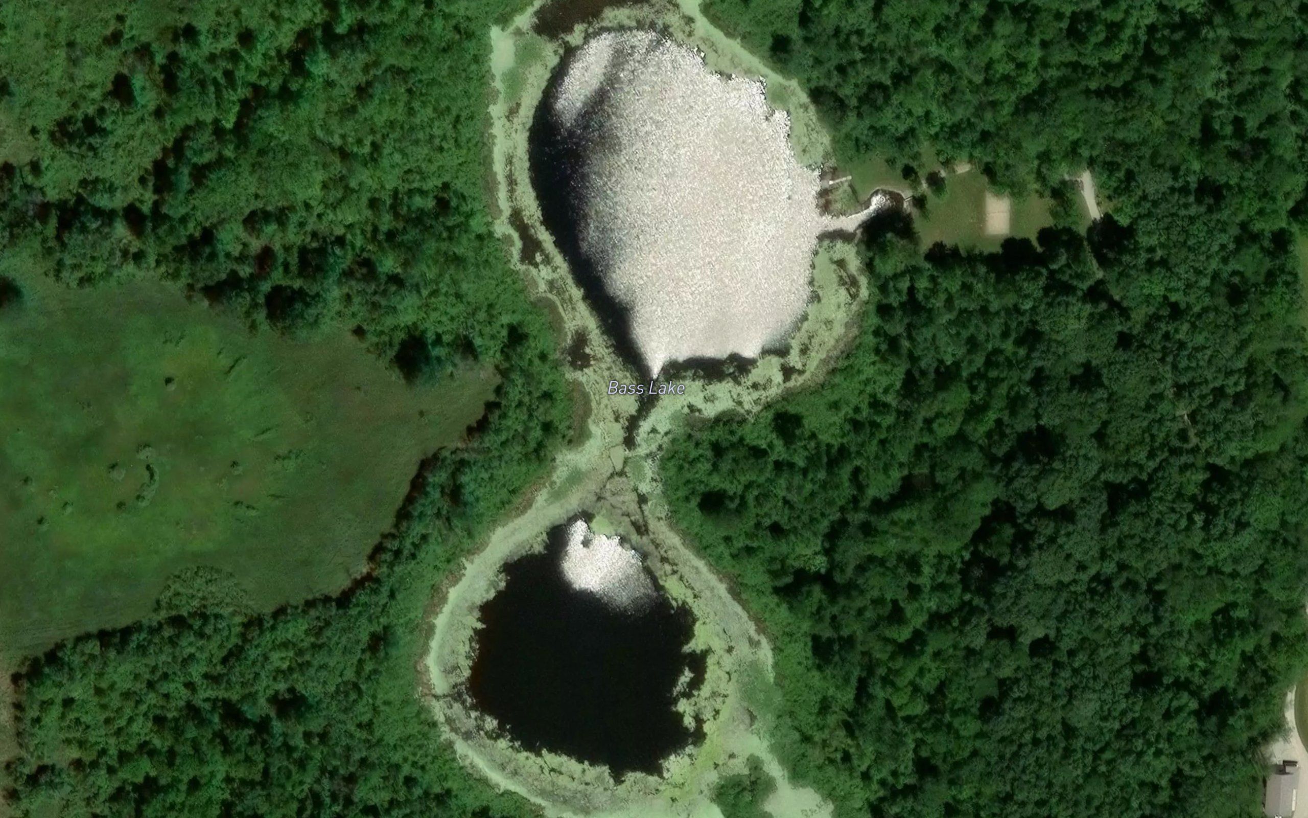 Bass Lake