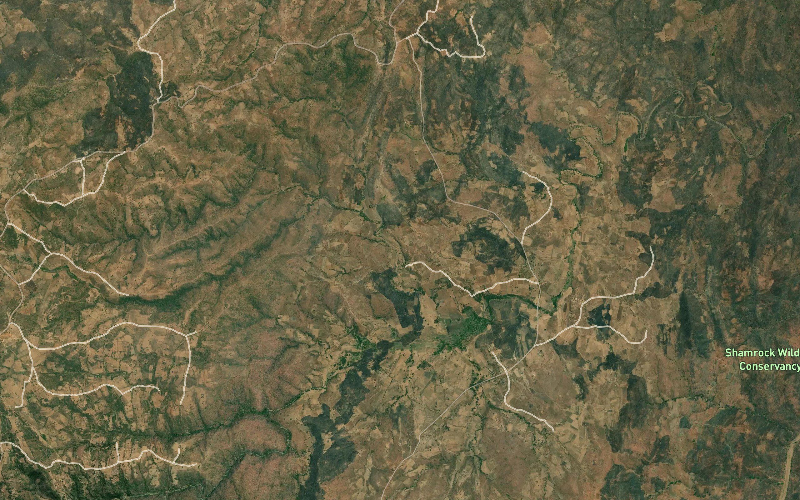 Chakusi