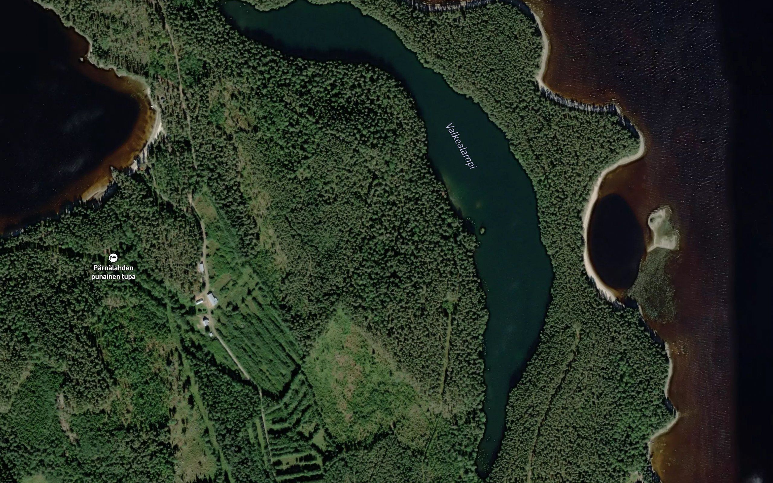 Valkealampi