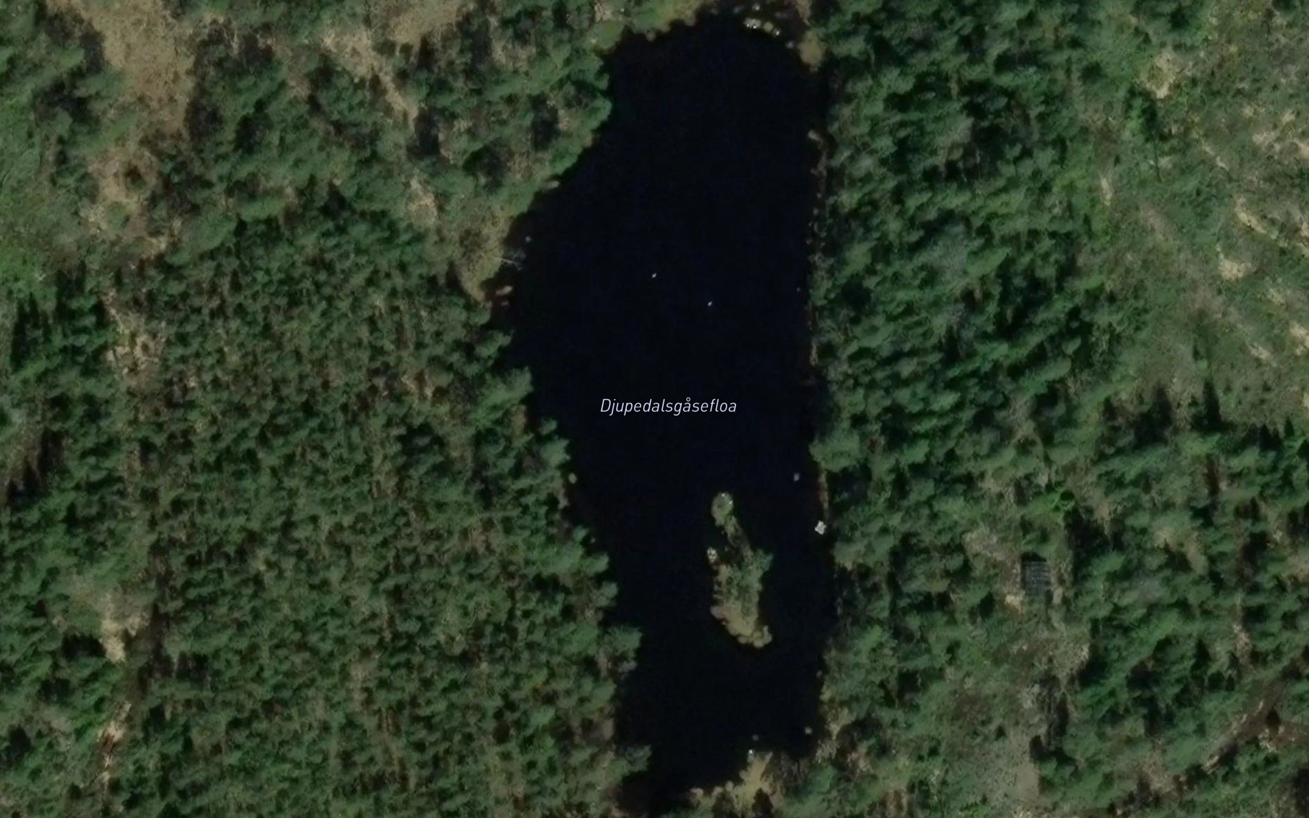 Dybedahlsgasefloa