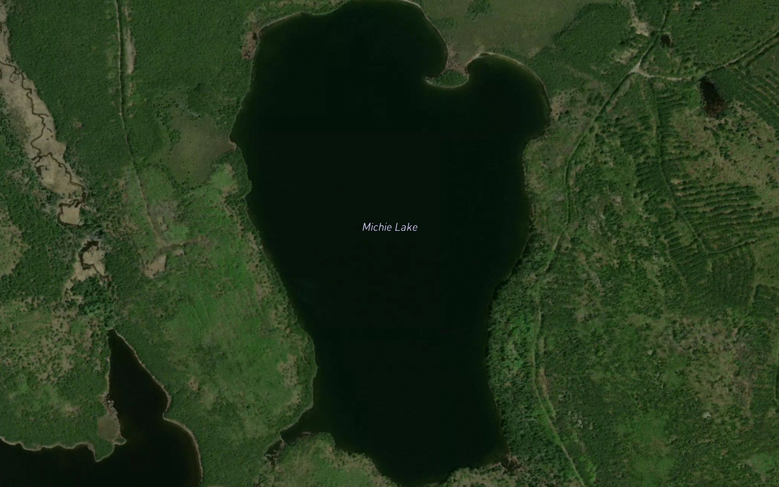 Michie Lake