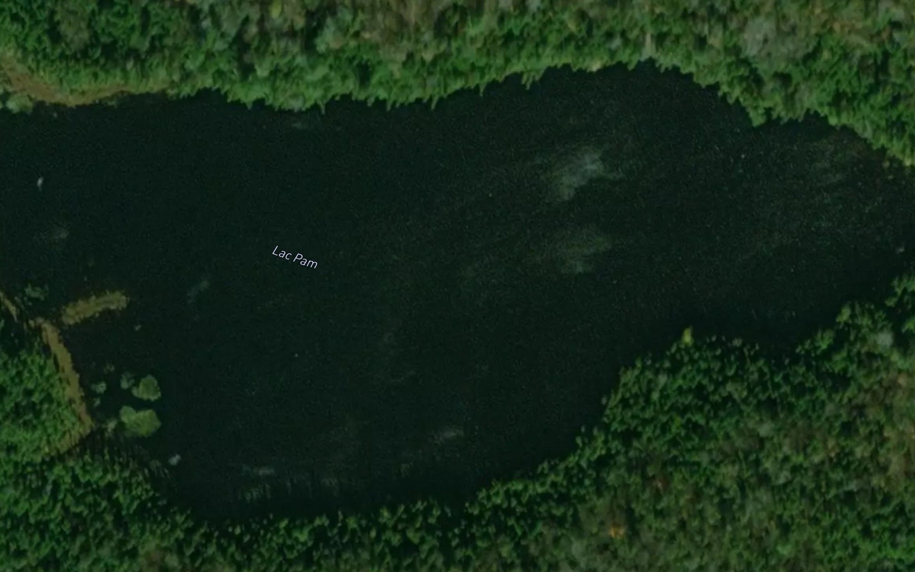 Satellite map of the Lac Pam