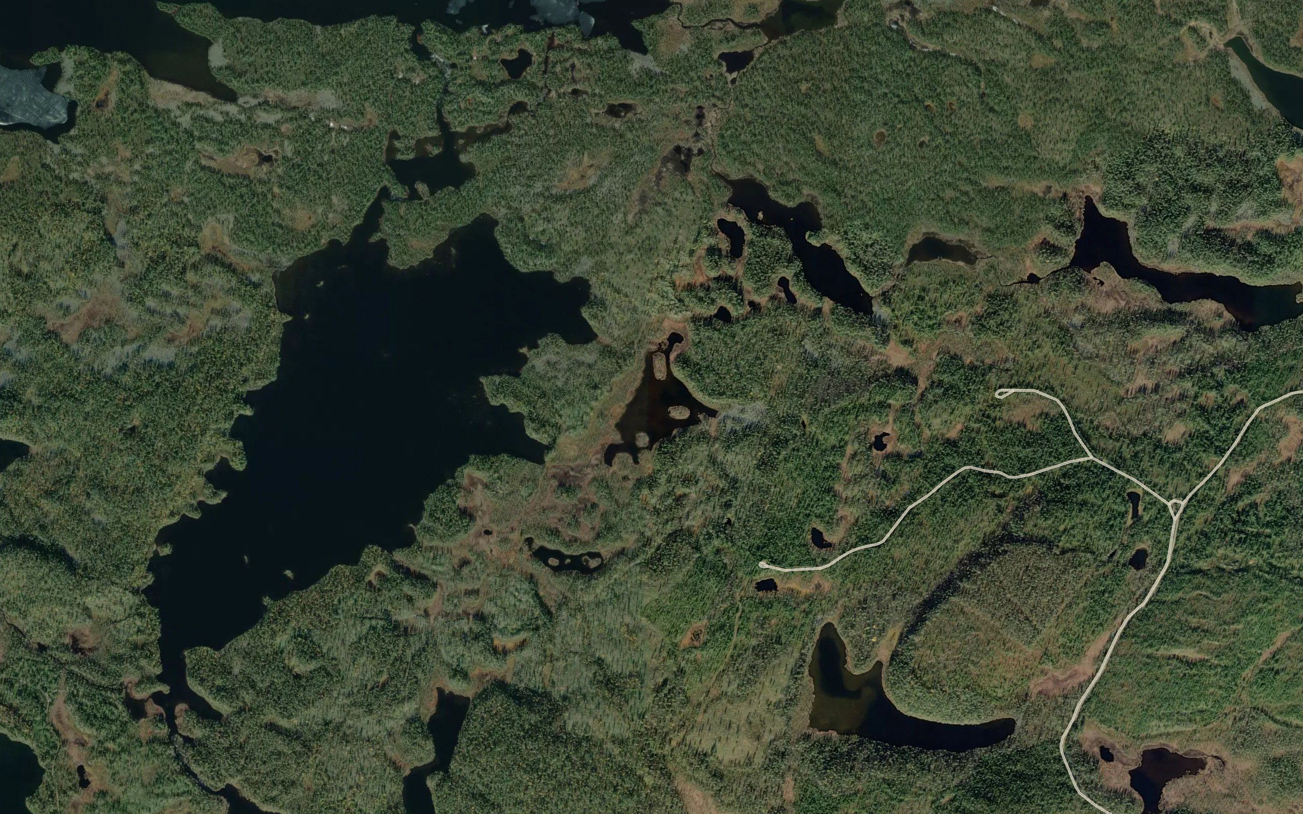 Kiainuluohtjaavras