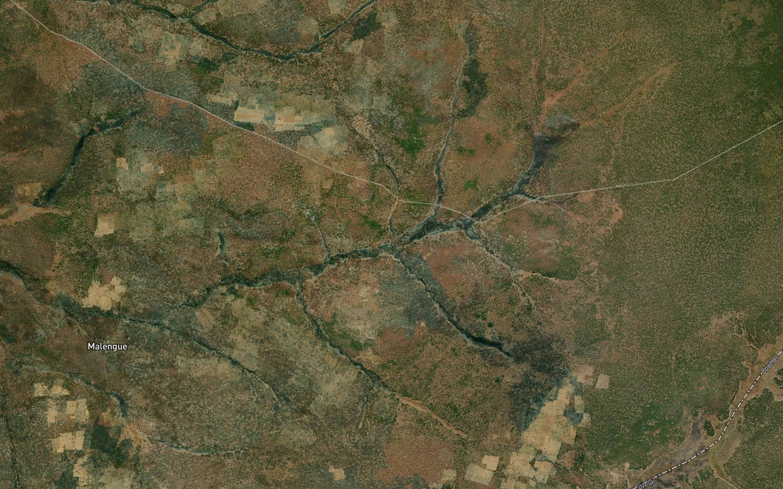 ManongoPrimeiro