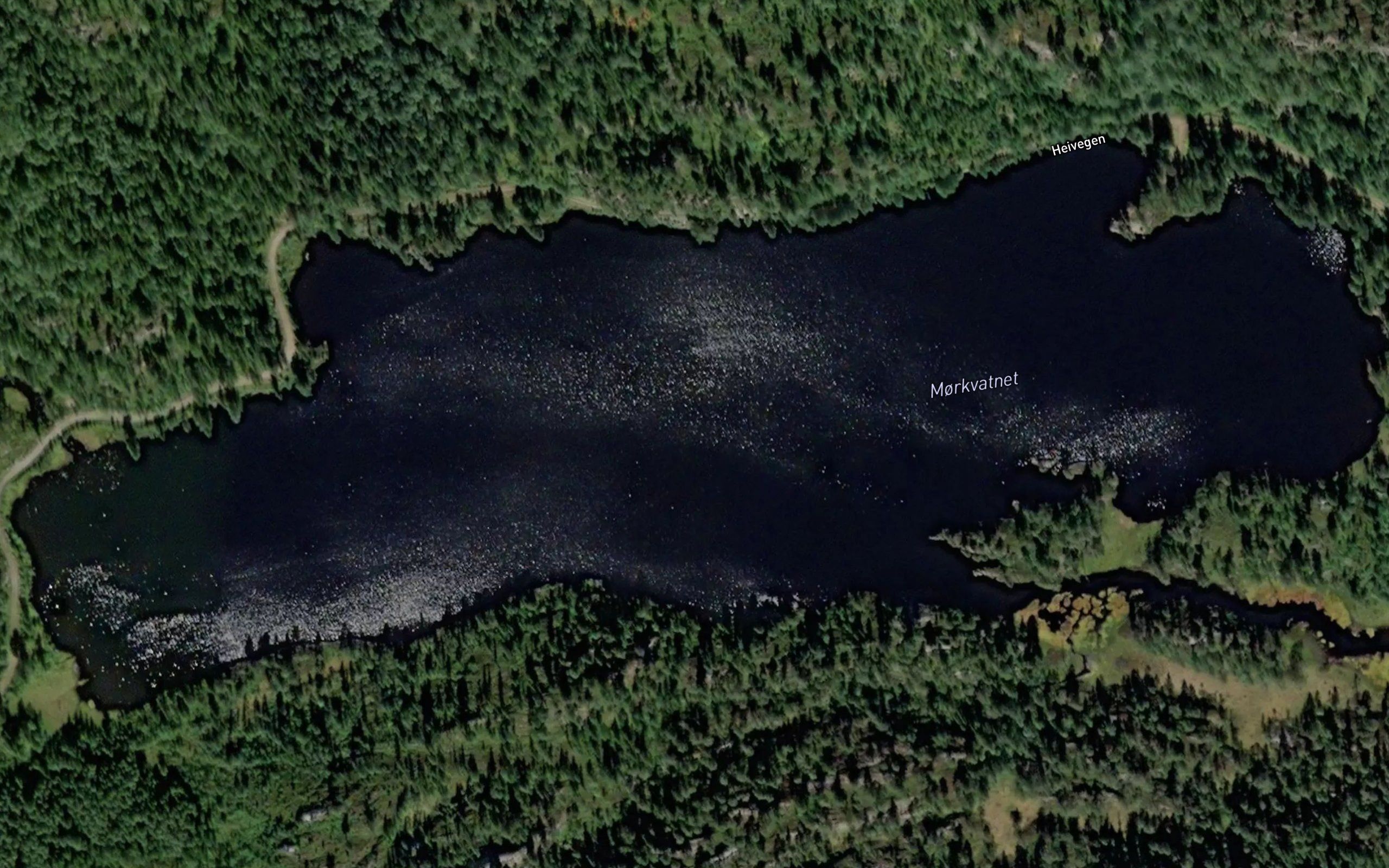 Morkvatnet