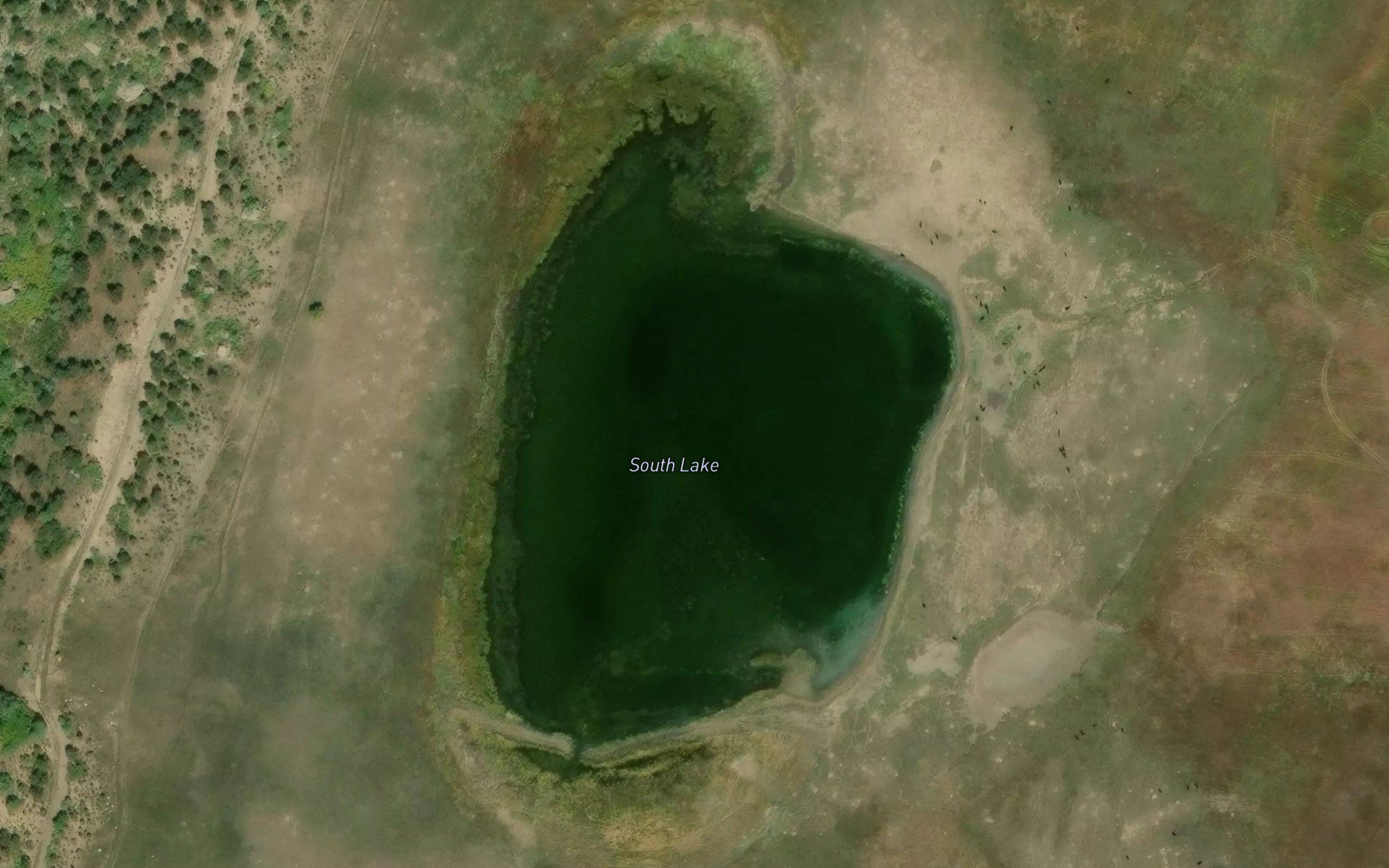 South Lake