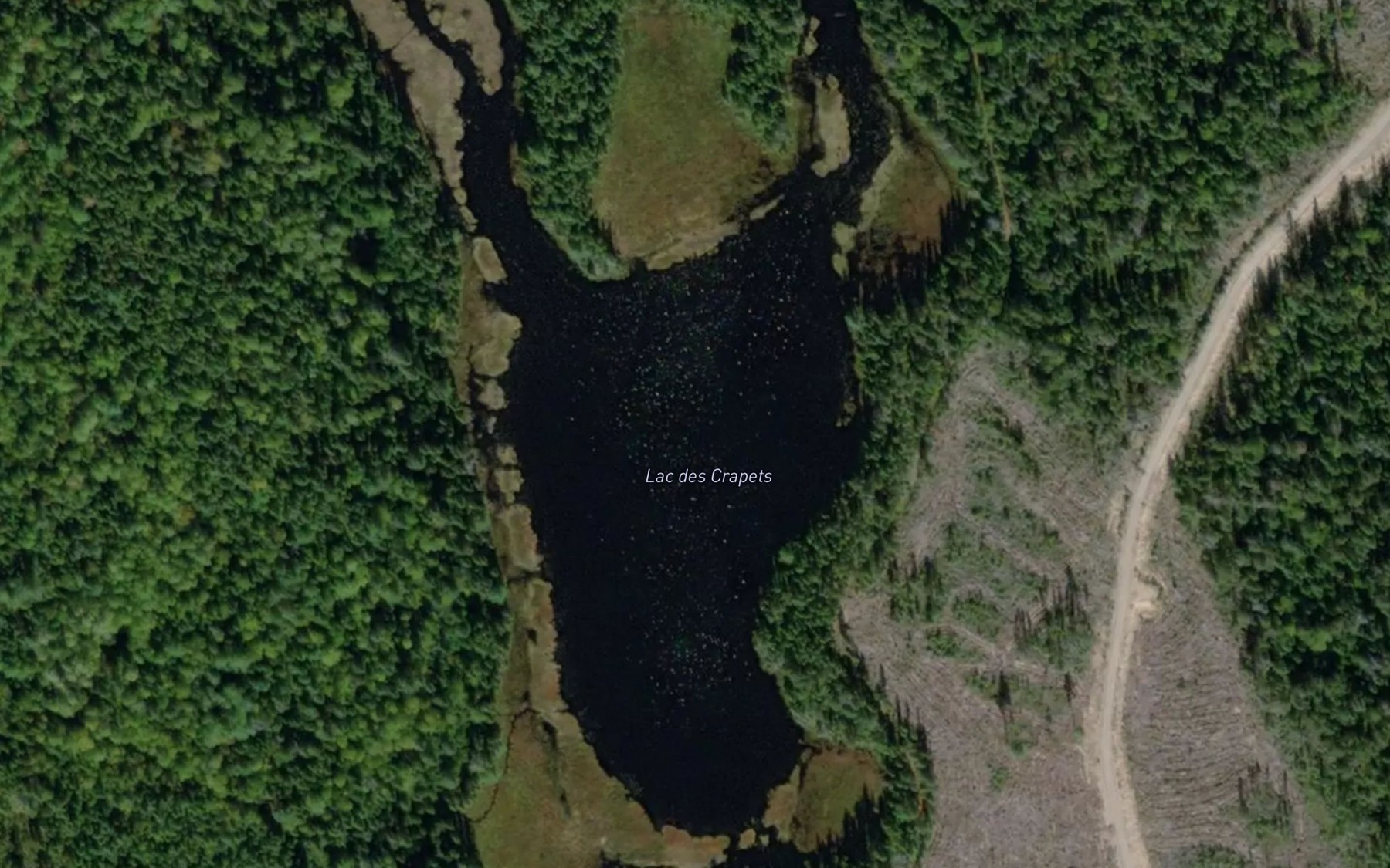 Satellite map of the Lac des Crapets