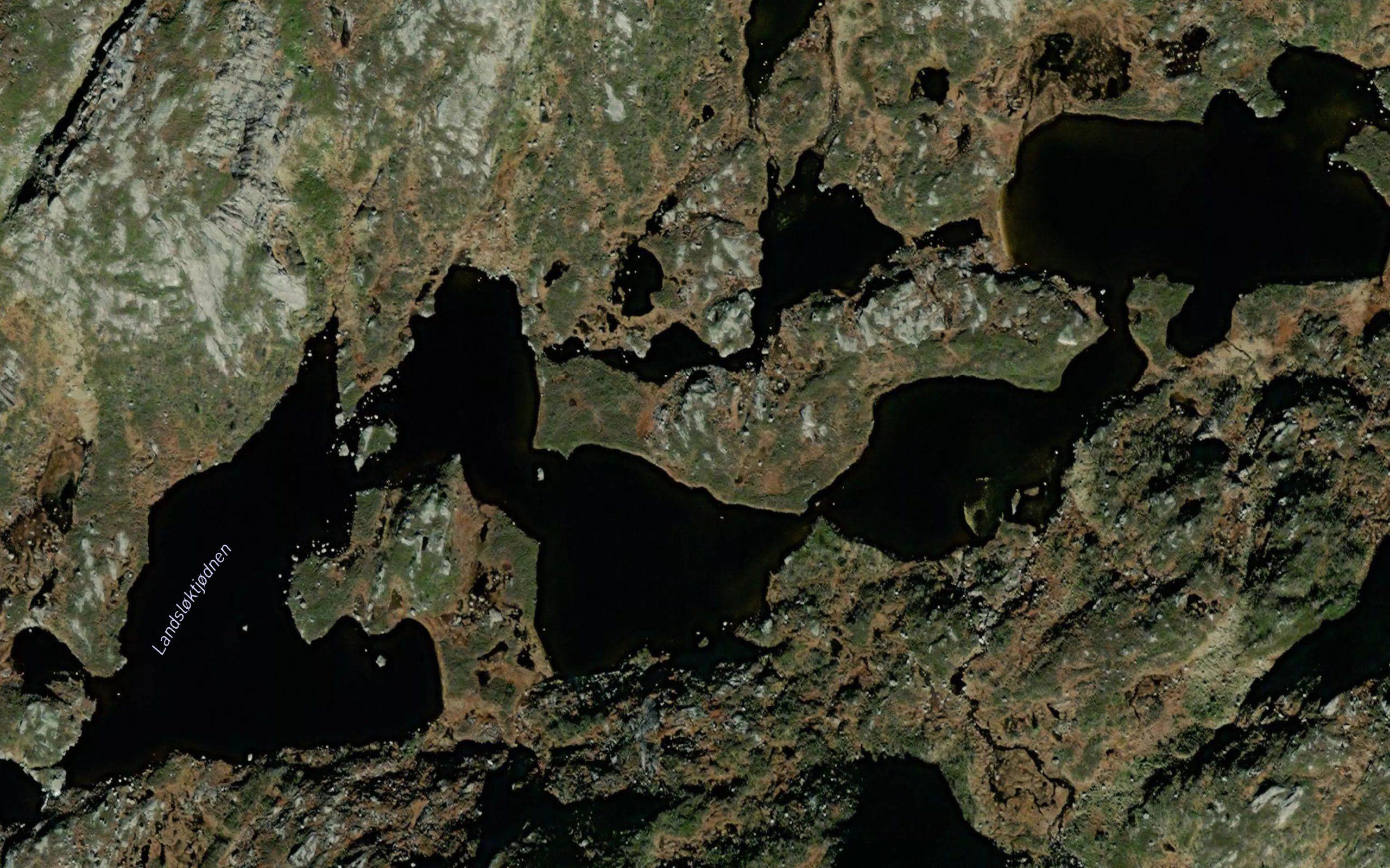 Landsloktjornene