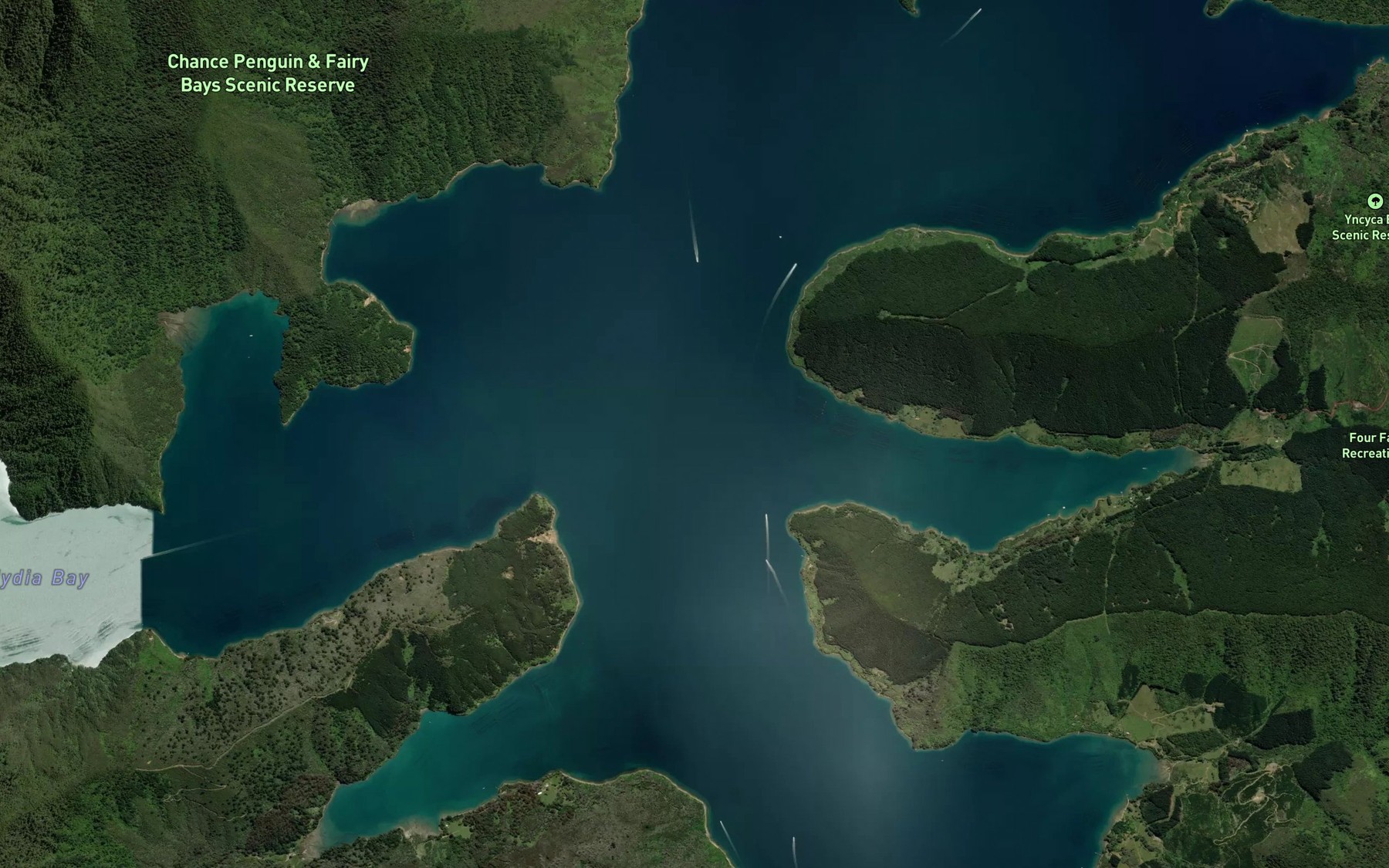 Satellite map of the Pelorus Sound