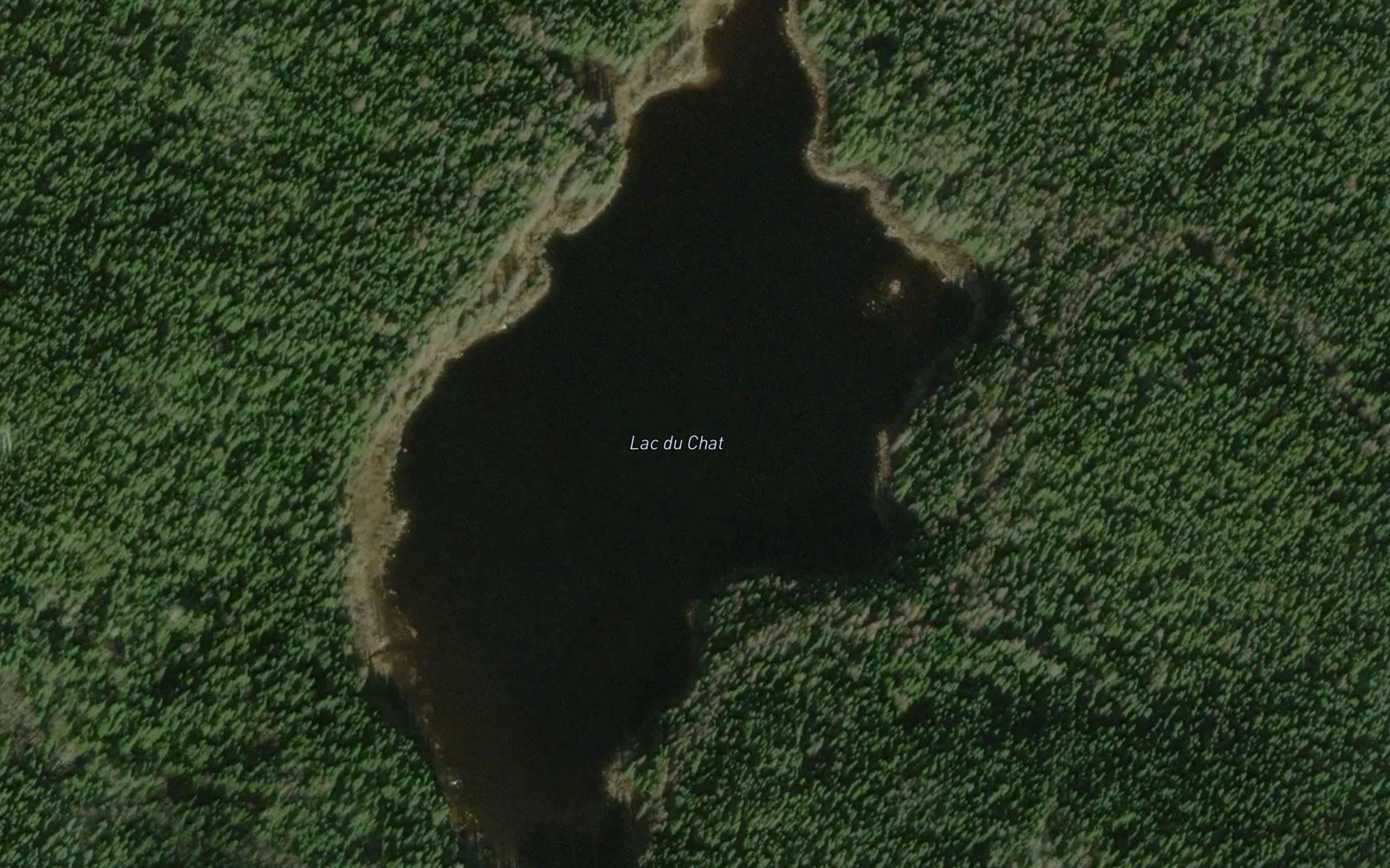 Lac du Chat