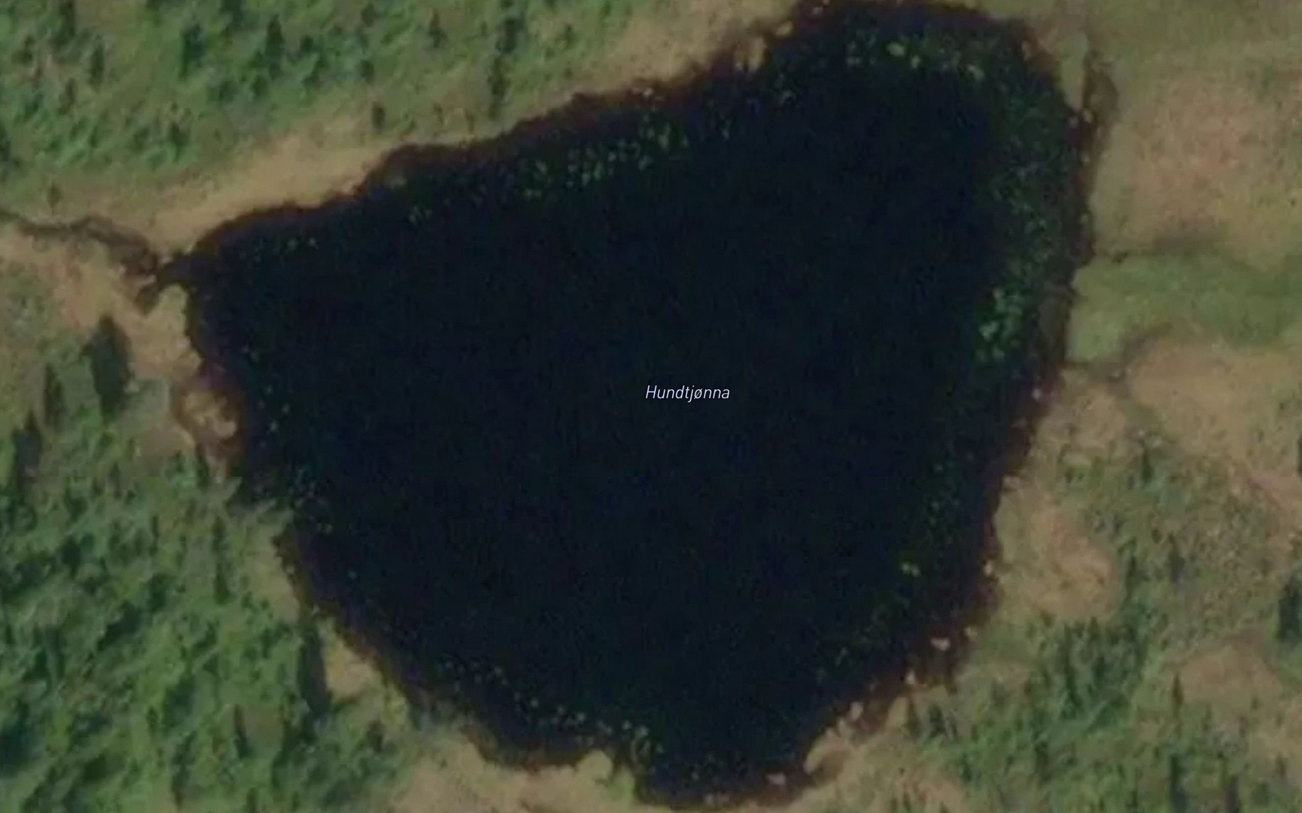 Hunntjorna