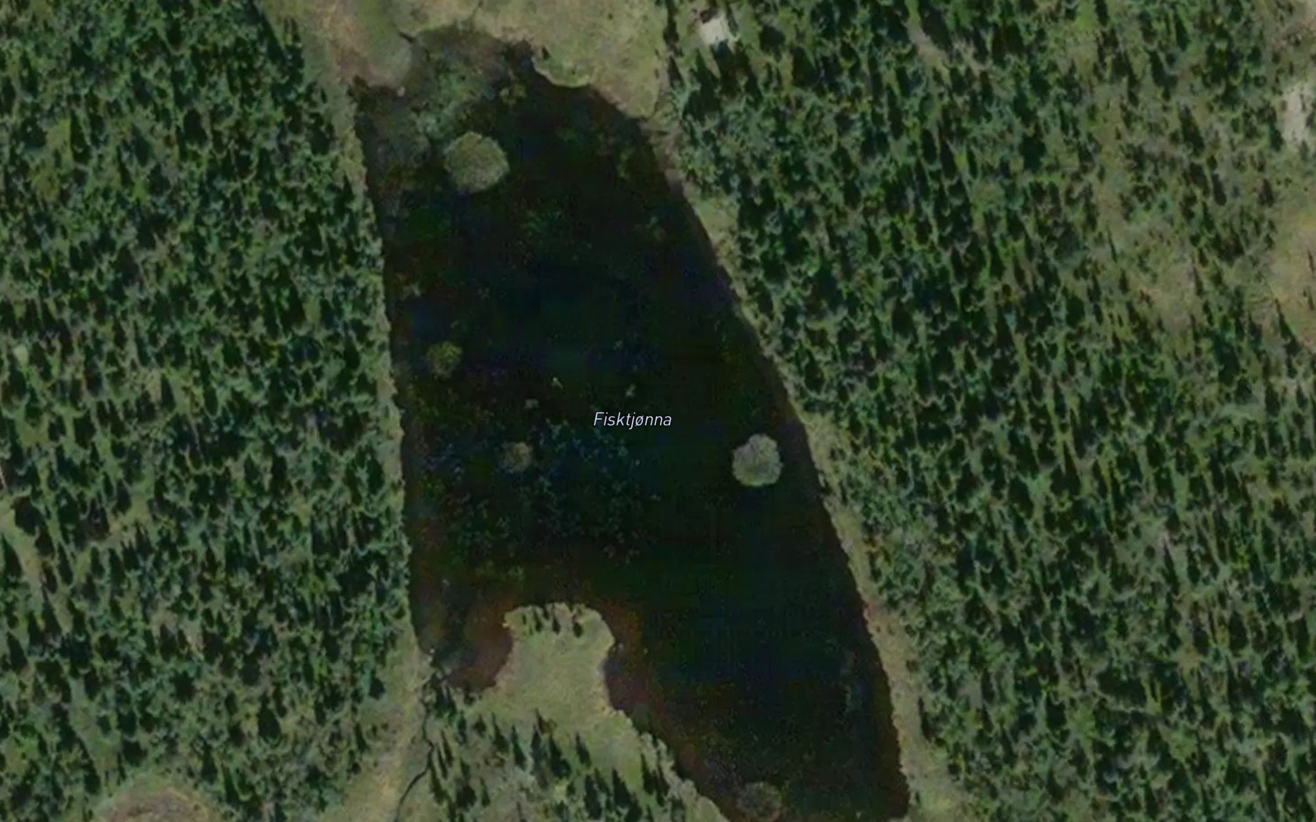 Fisktjonna