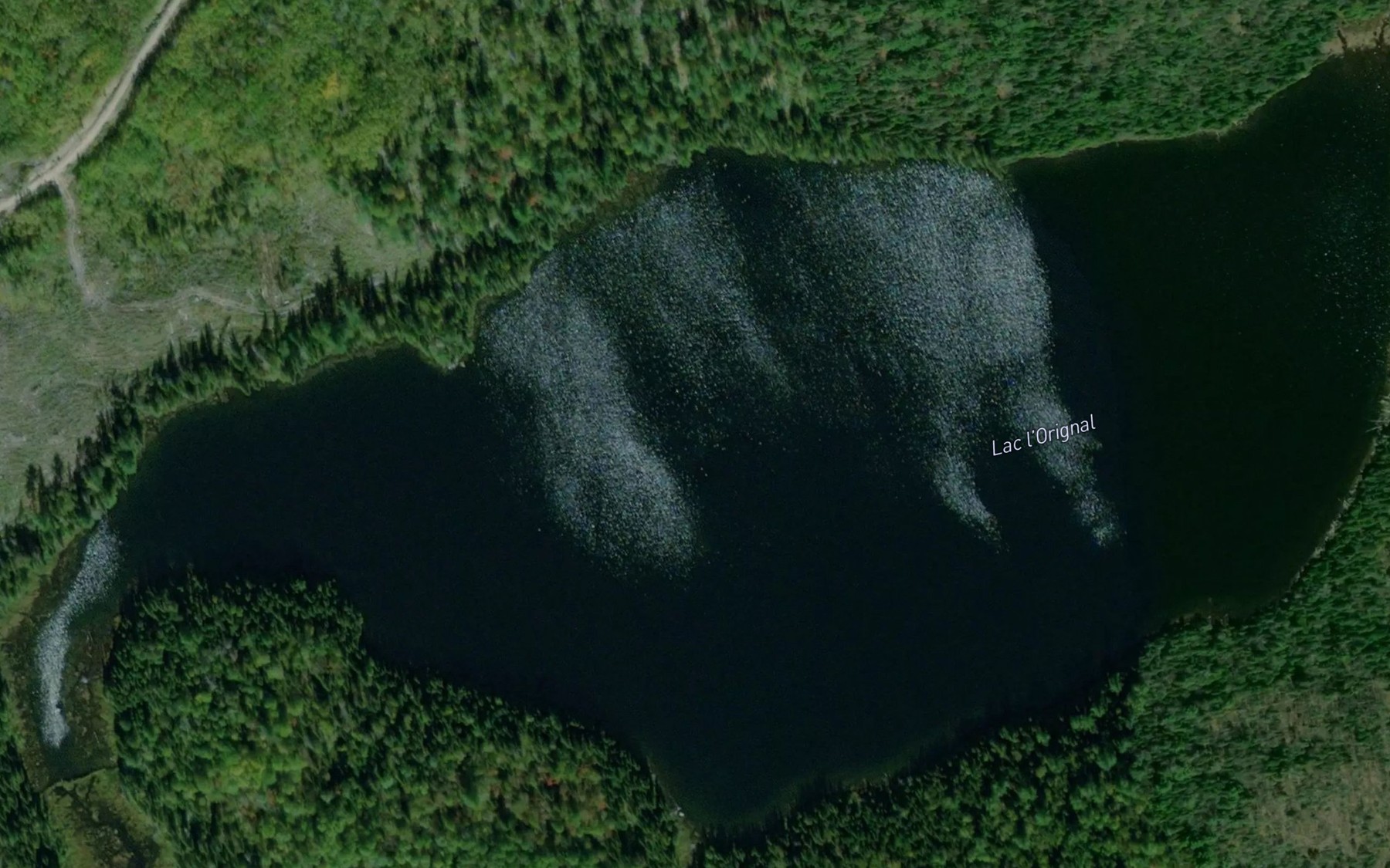 Satellite map of the Lac l'Orignal