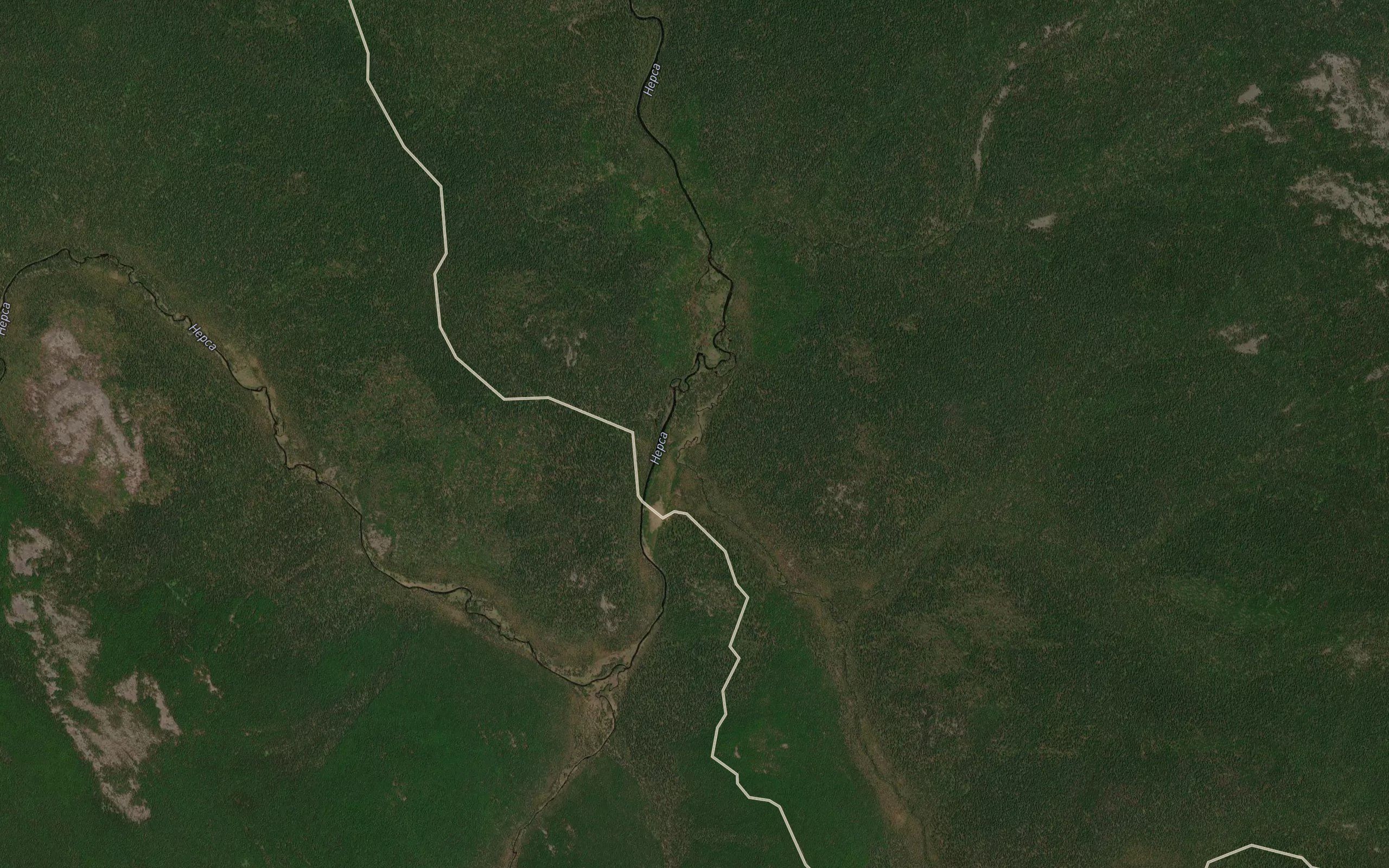 Kedrovaya