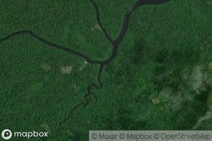 Cano Brazo del Medio