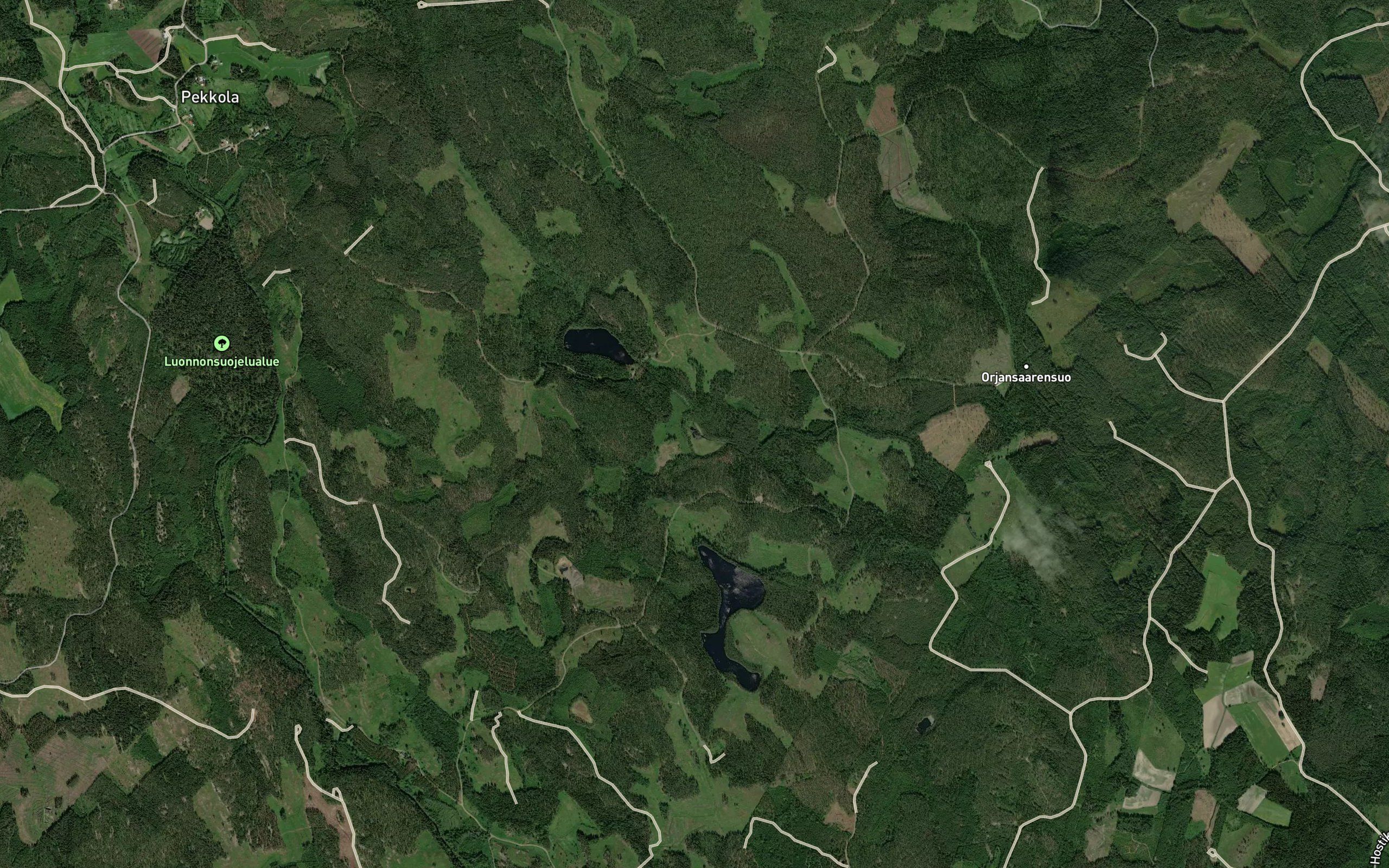 Hauhianlampi