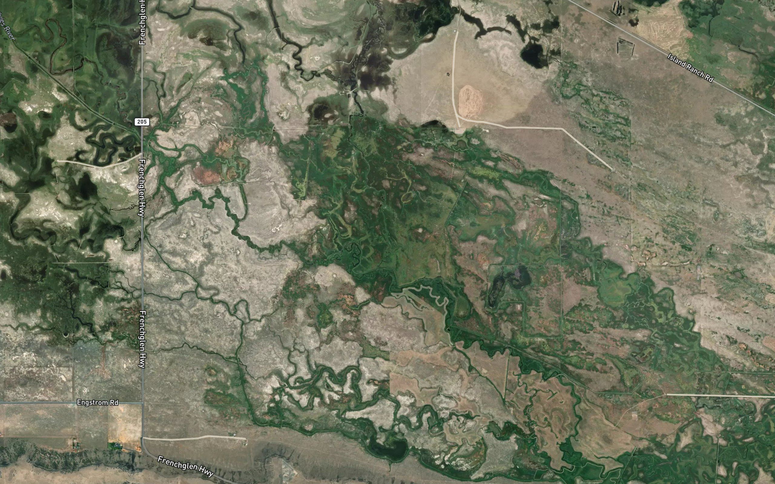 Chapman Slough